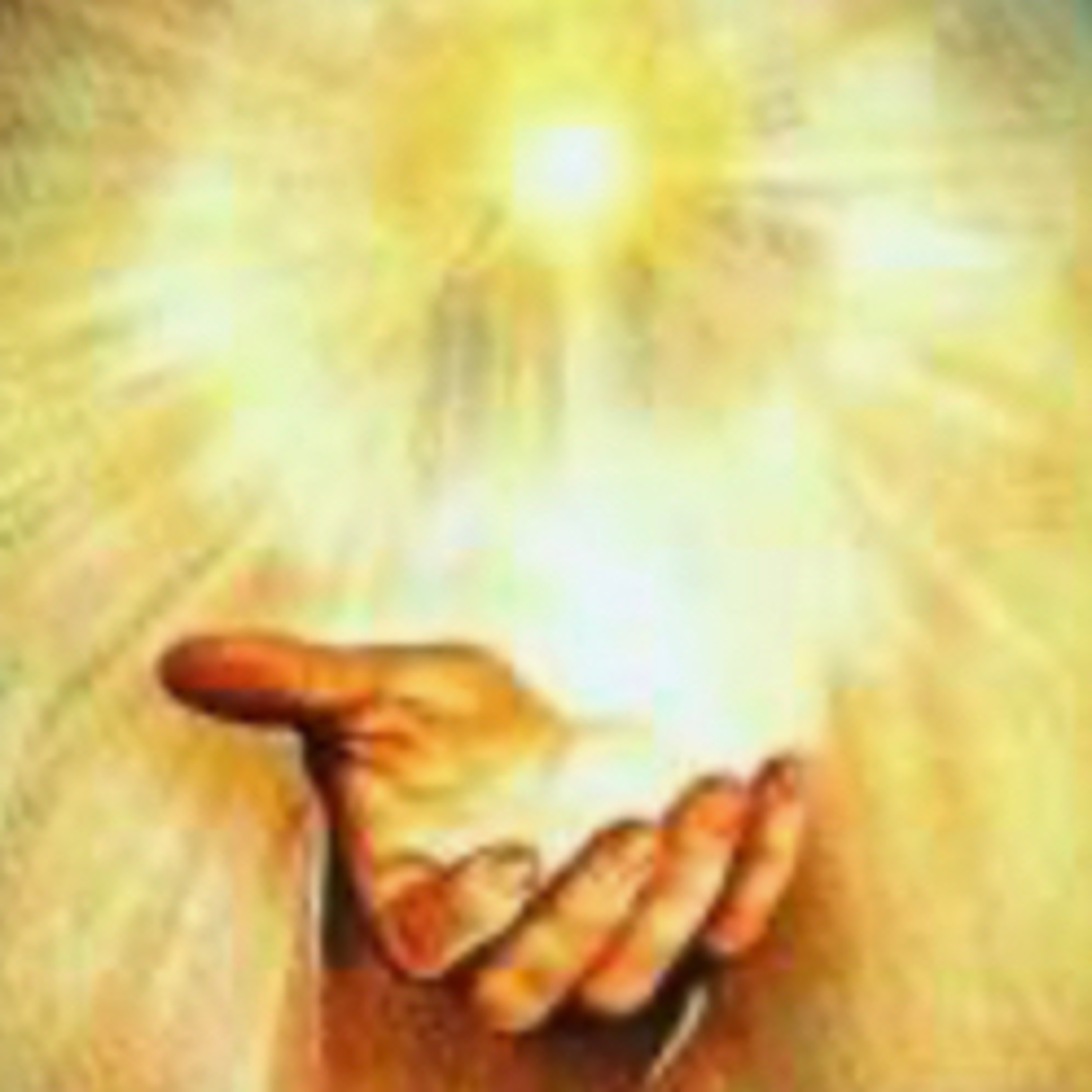 PALAVRA DO SENHOR