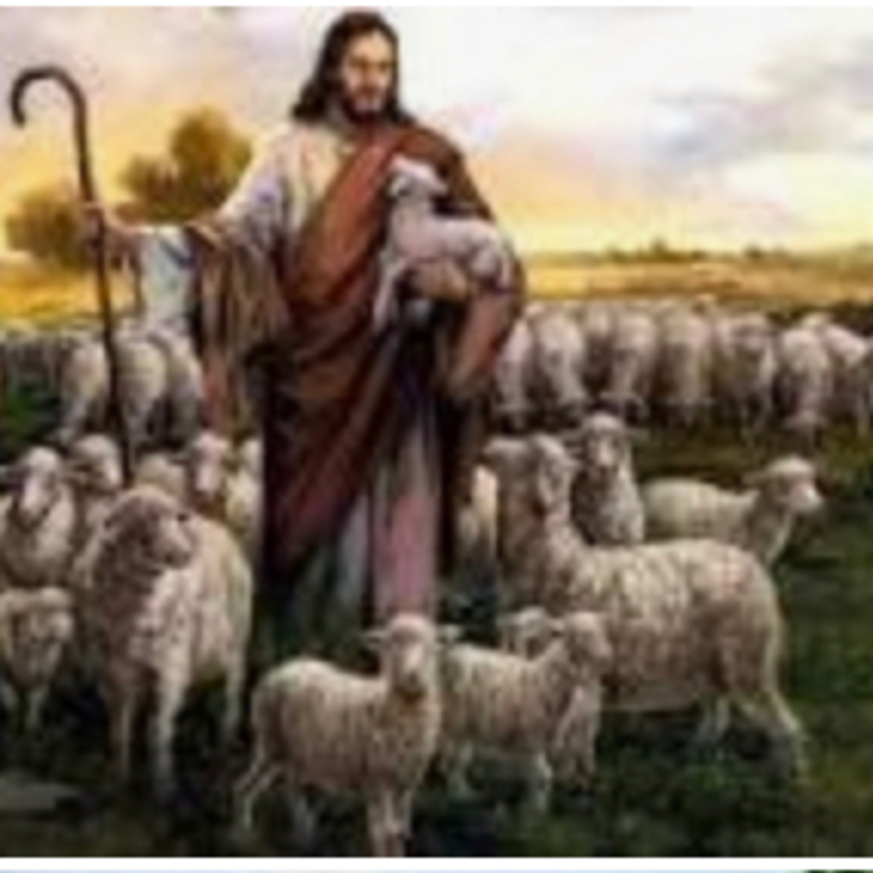 PALAVRA DO SENHOR