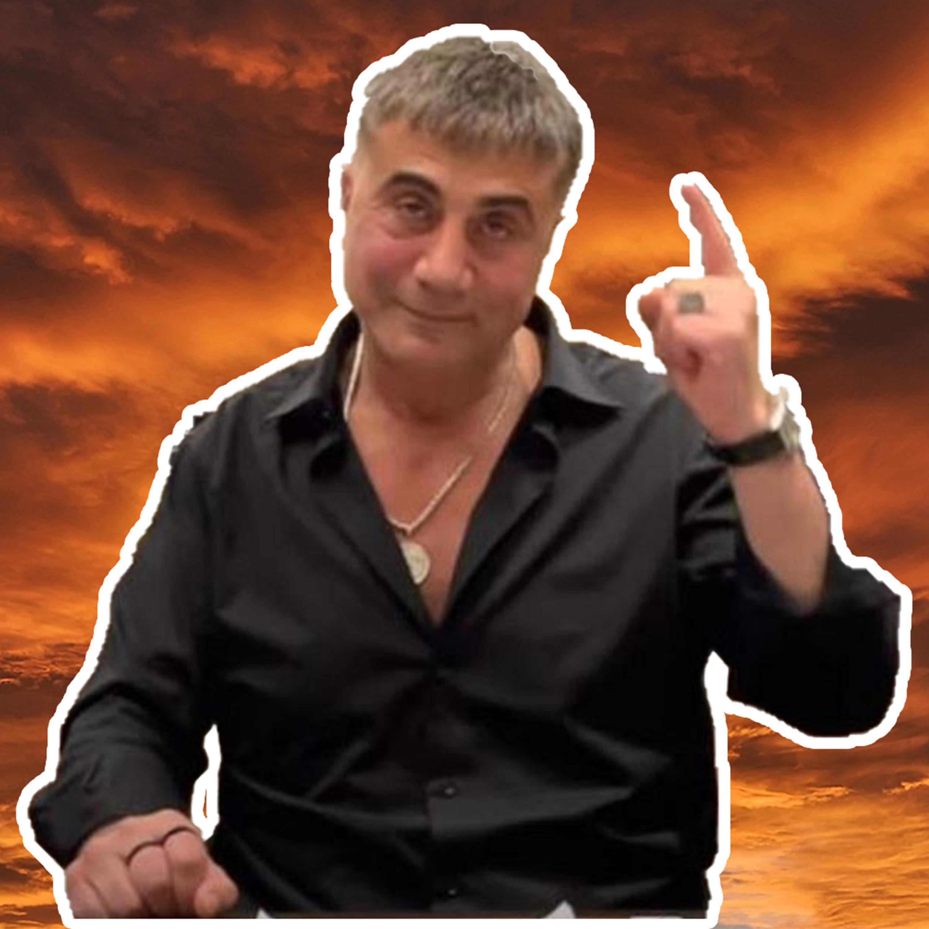 Ortanca Çocuklar