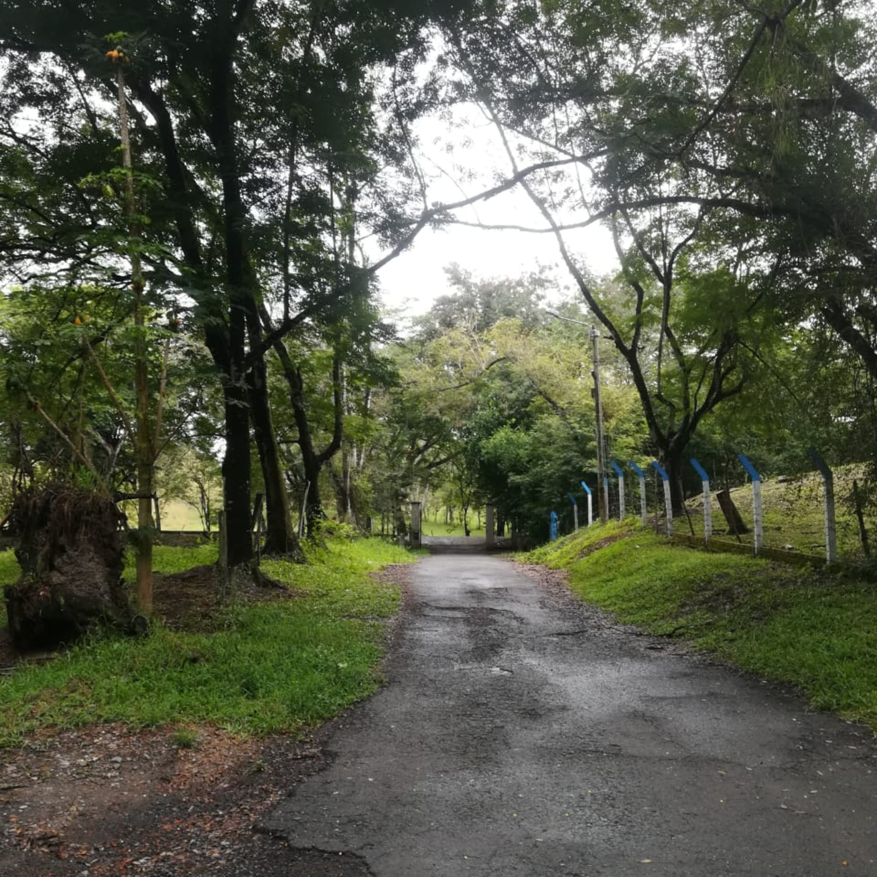 Cercanía desde el alma
