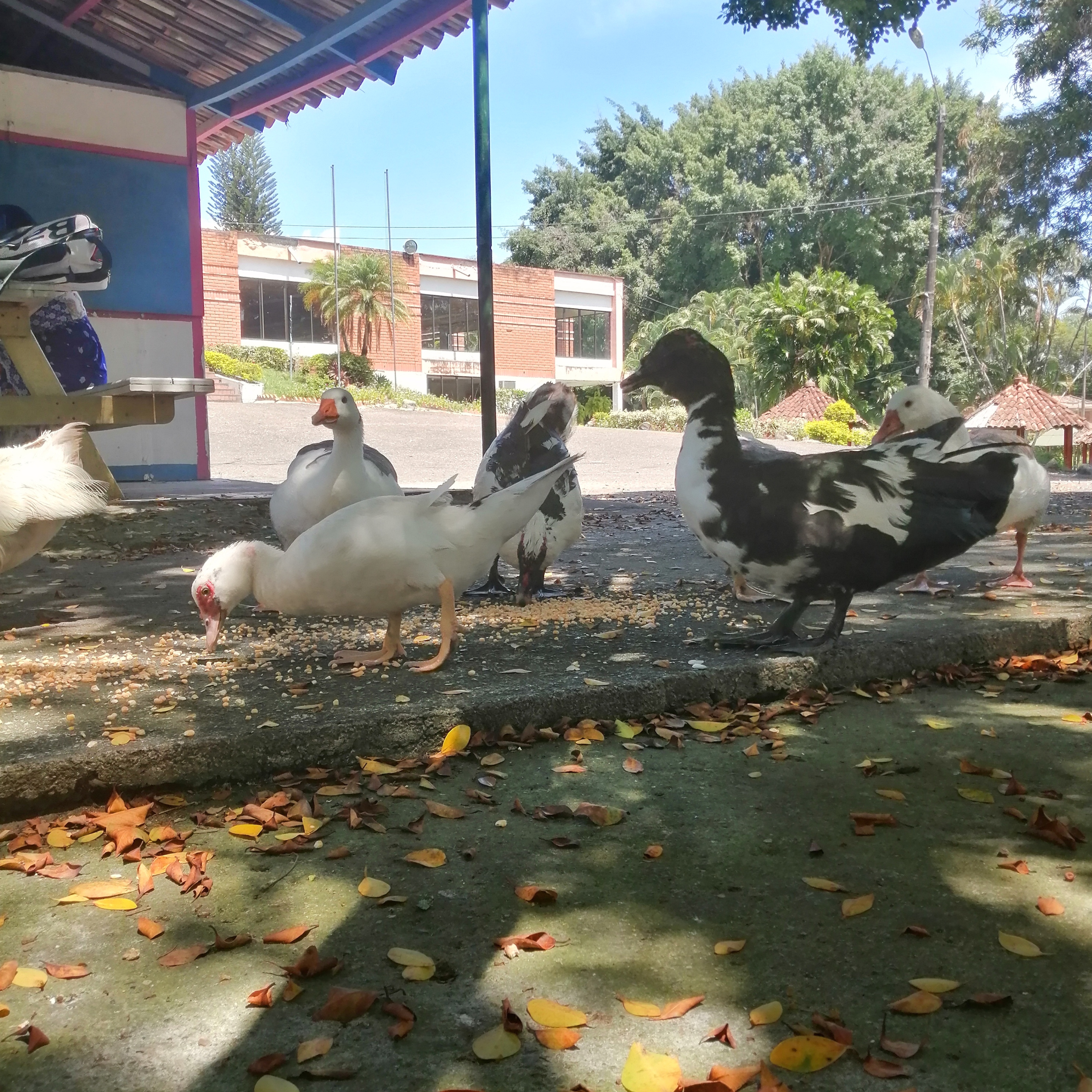 Cercanía desde el alma