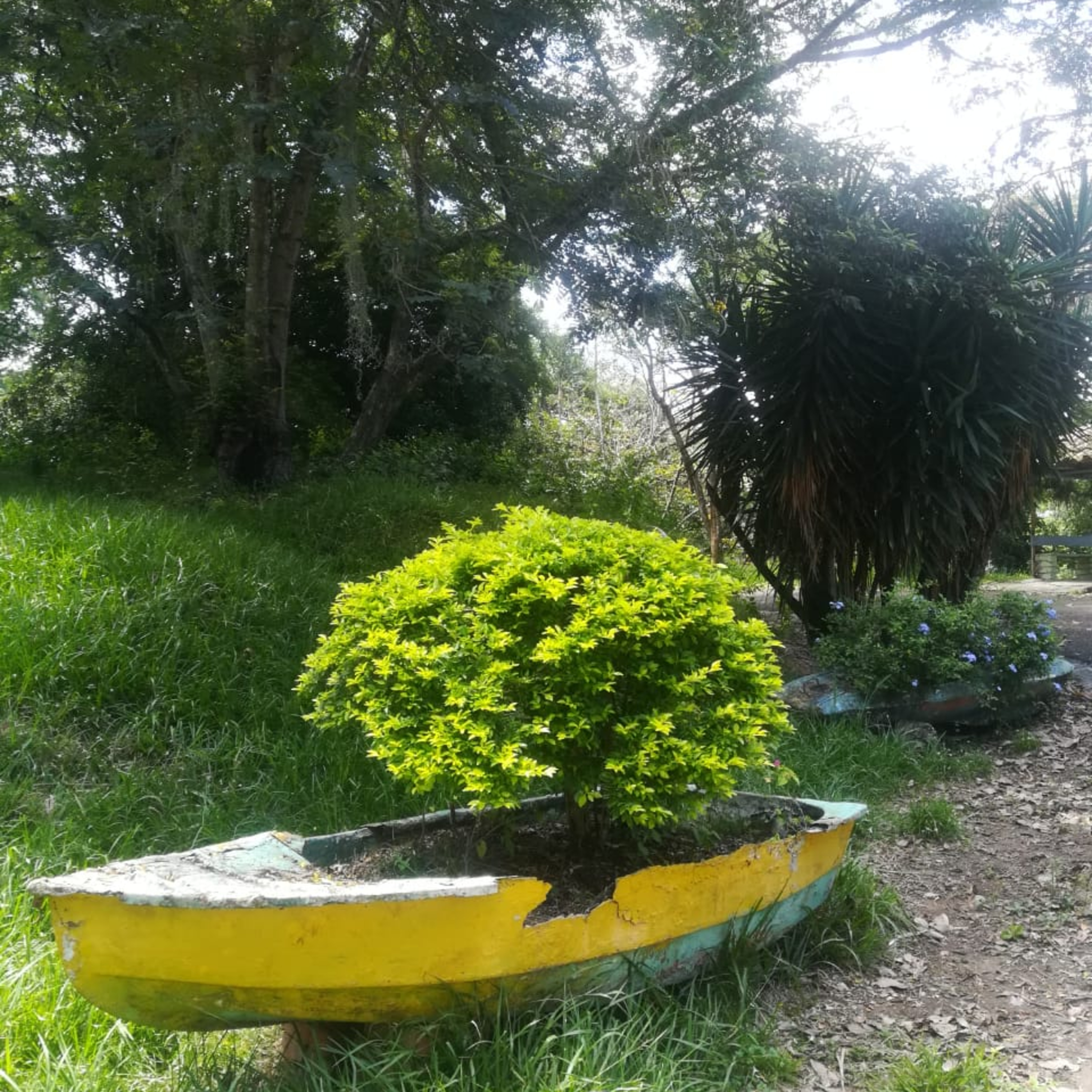 Cercanía desde el alma