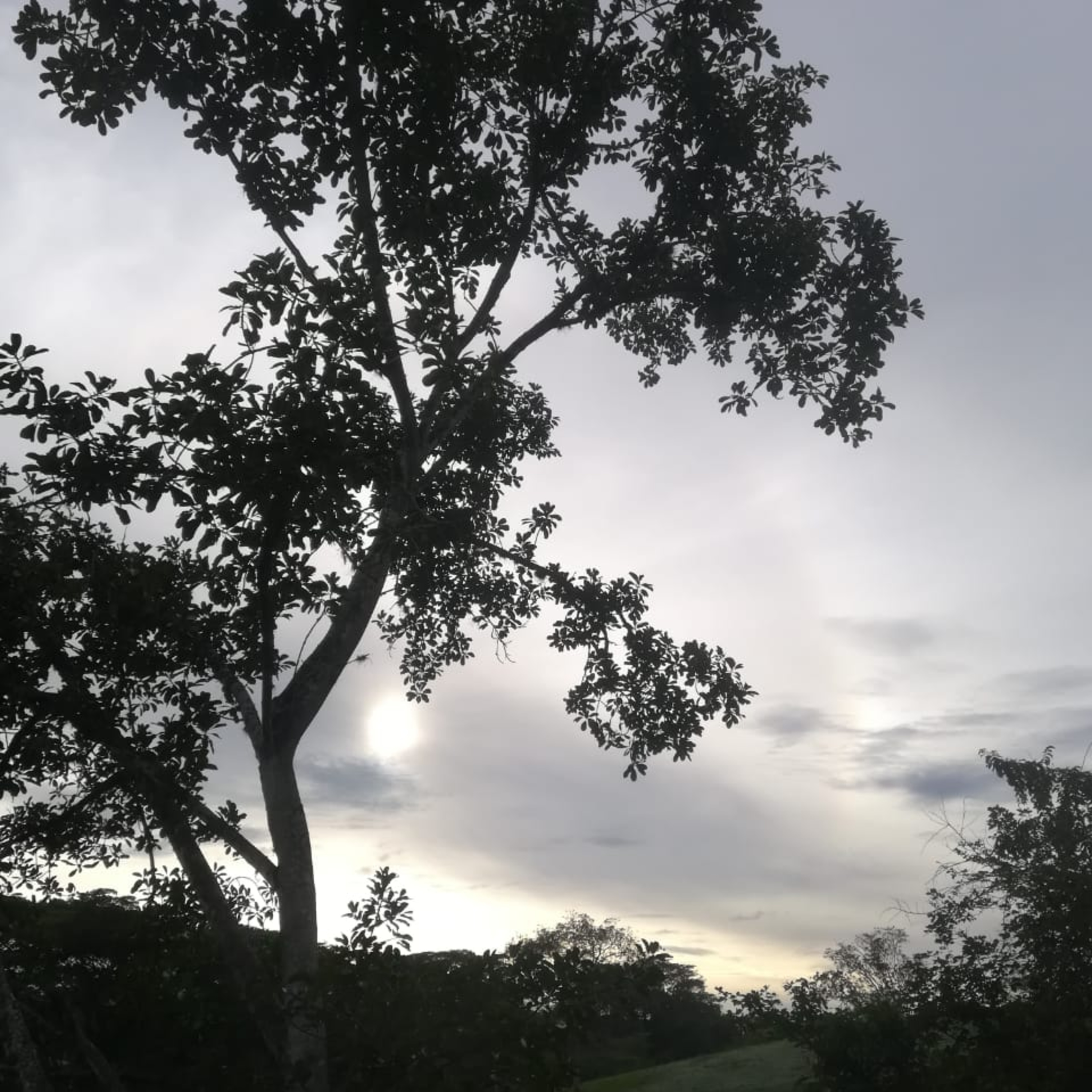 Cercanía desde el alma