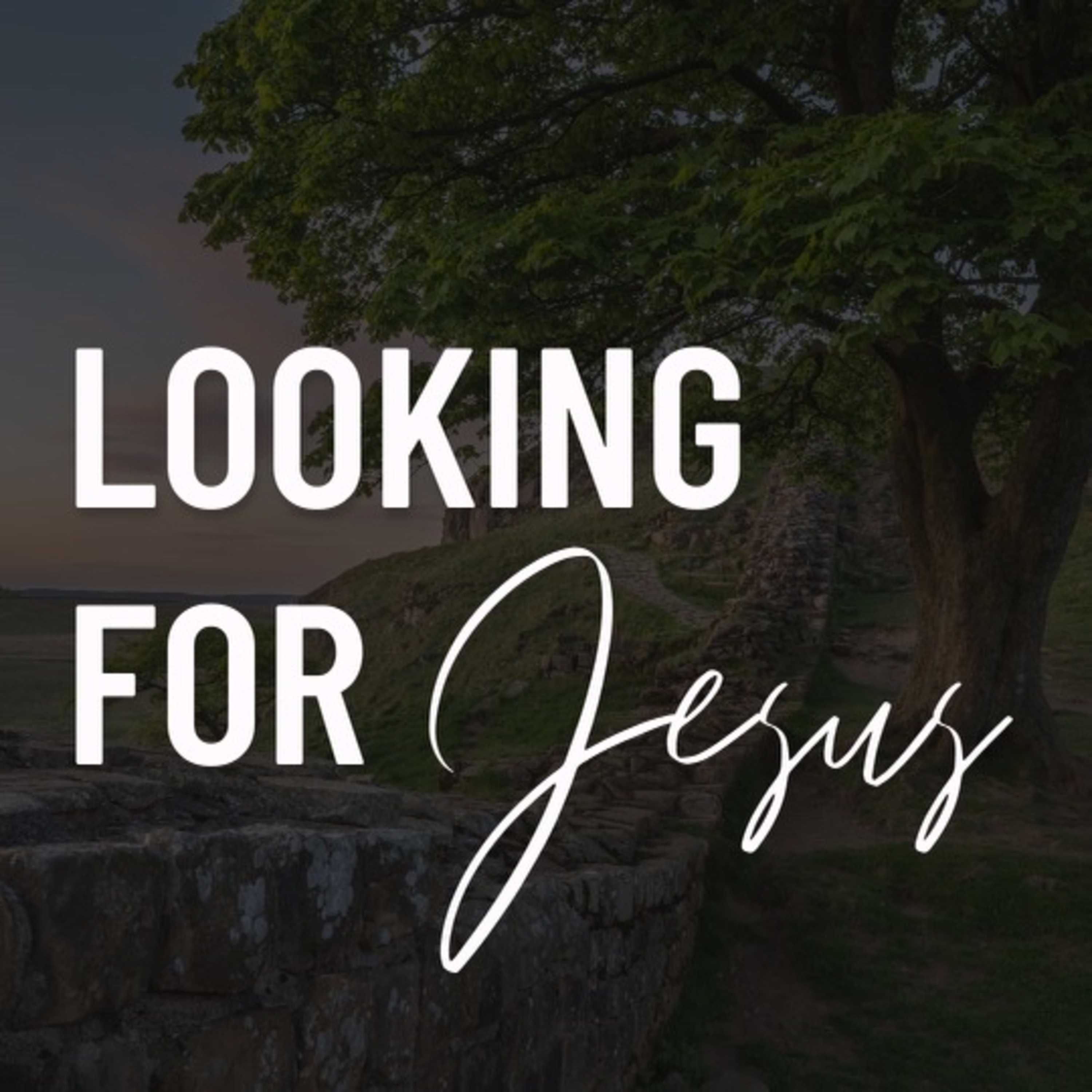 Looking for Jesus episode artwork