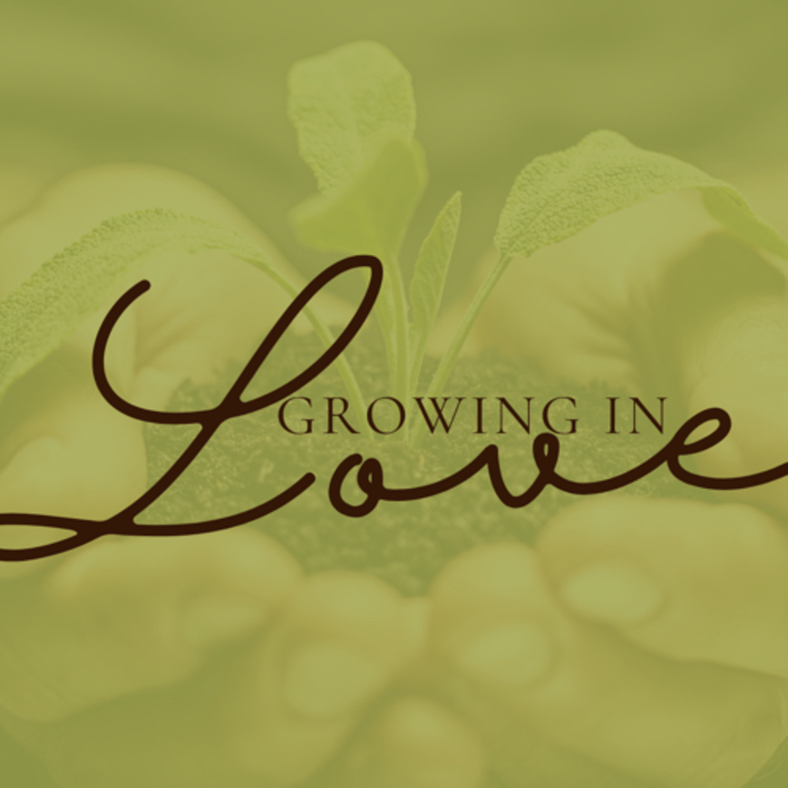 Growing in Love episode artwork