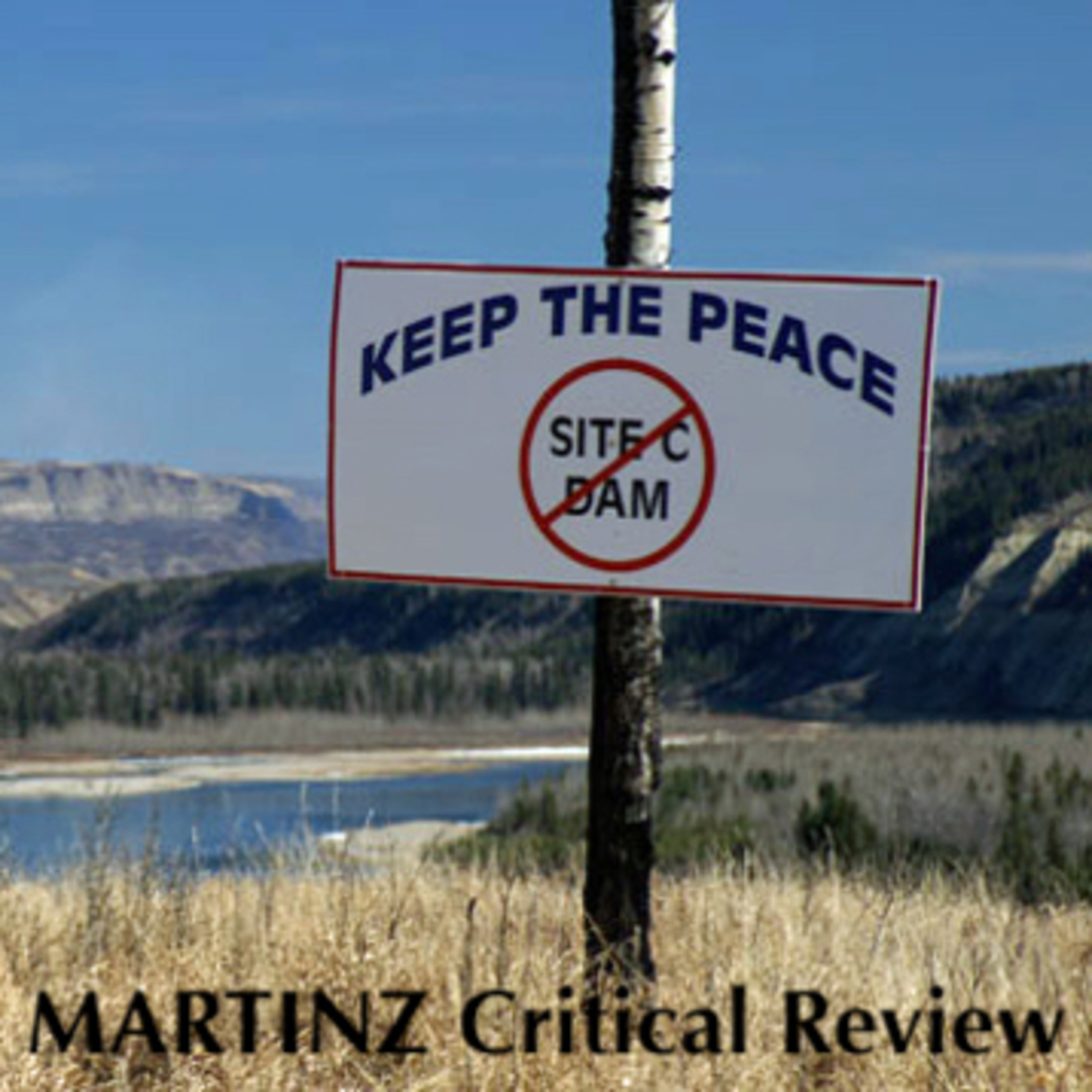 The MARTINZ Critical Review