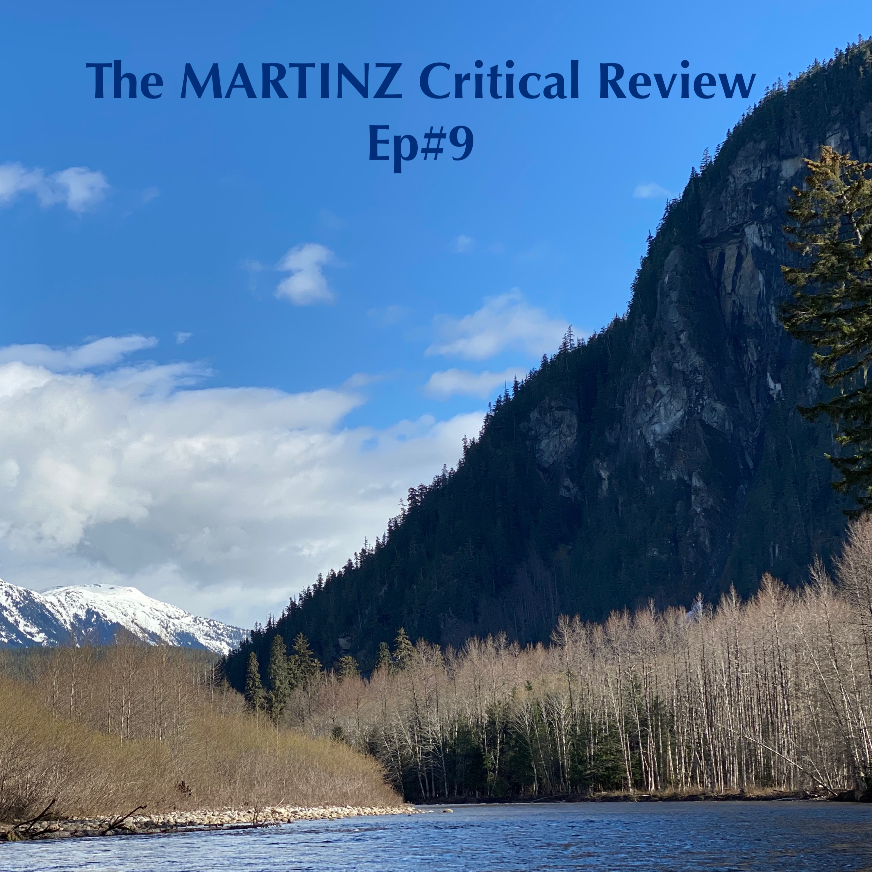 The MARTINZ Critical Review