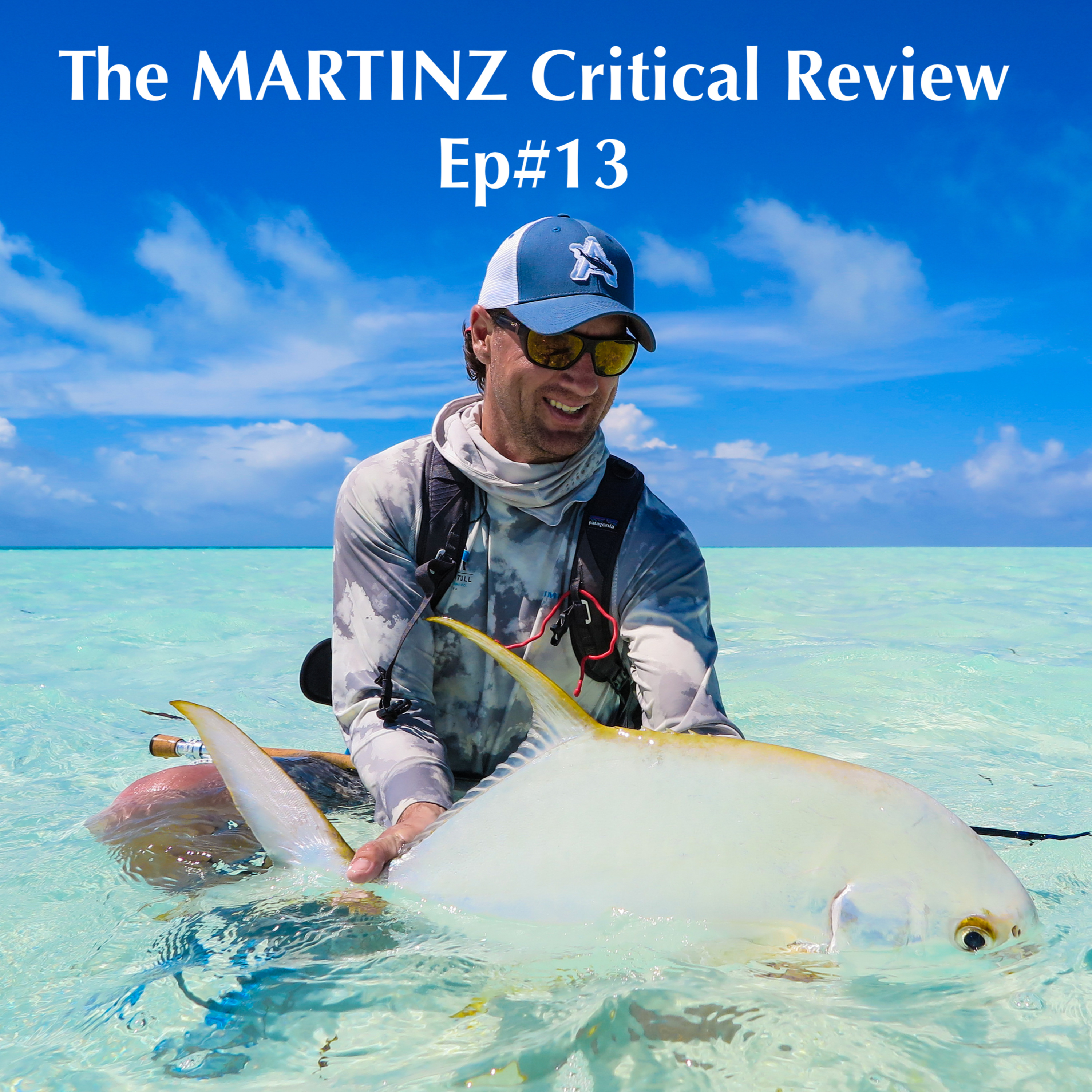 The MARTINZ Critical Review