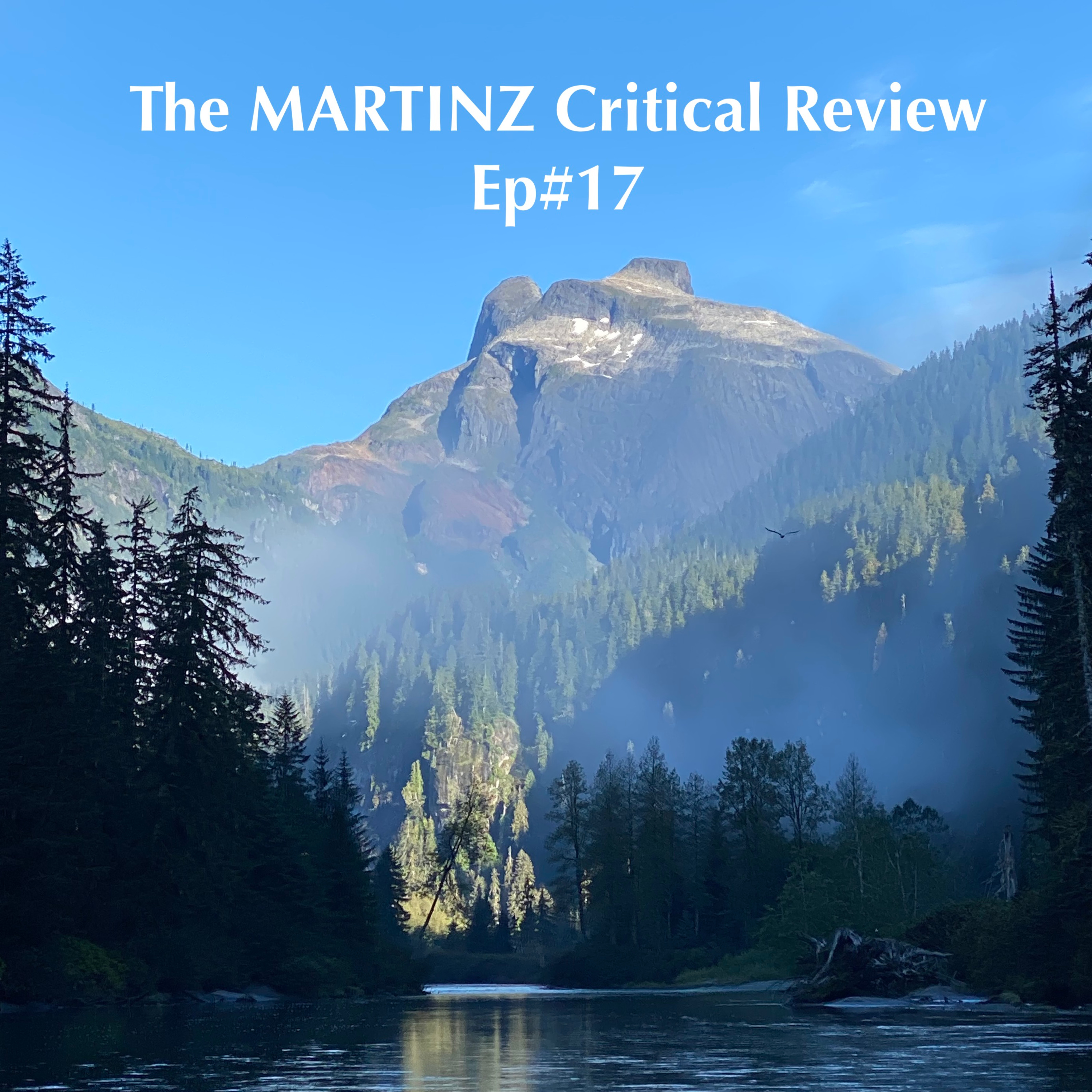 The MARTINZ Critical Review