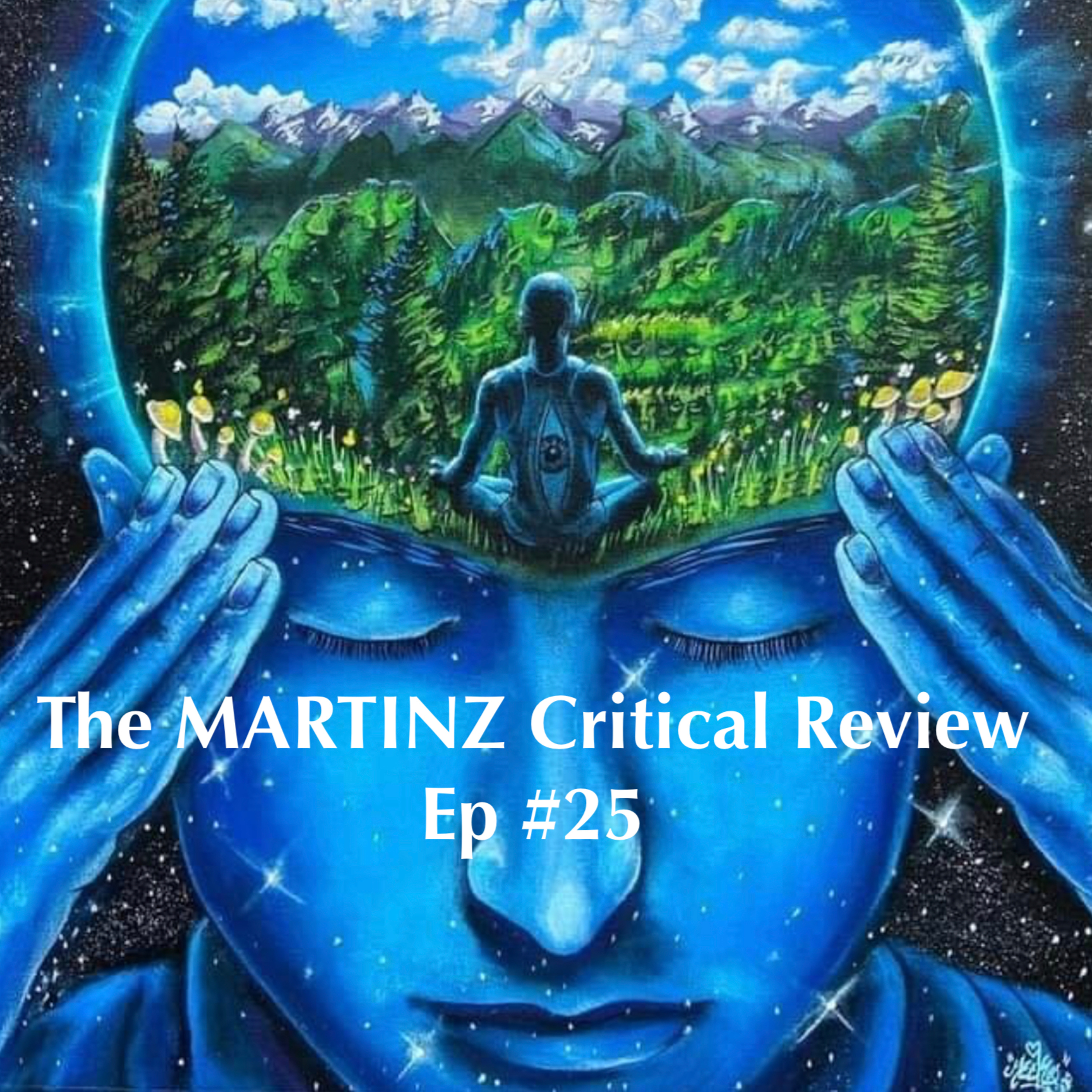 The MARTINZ Critical Review