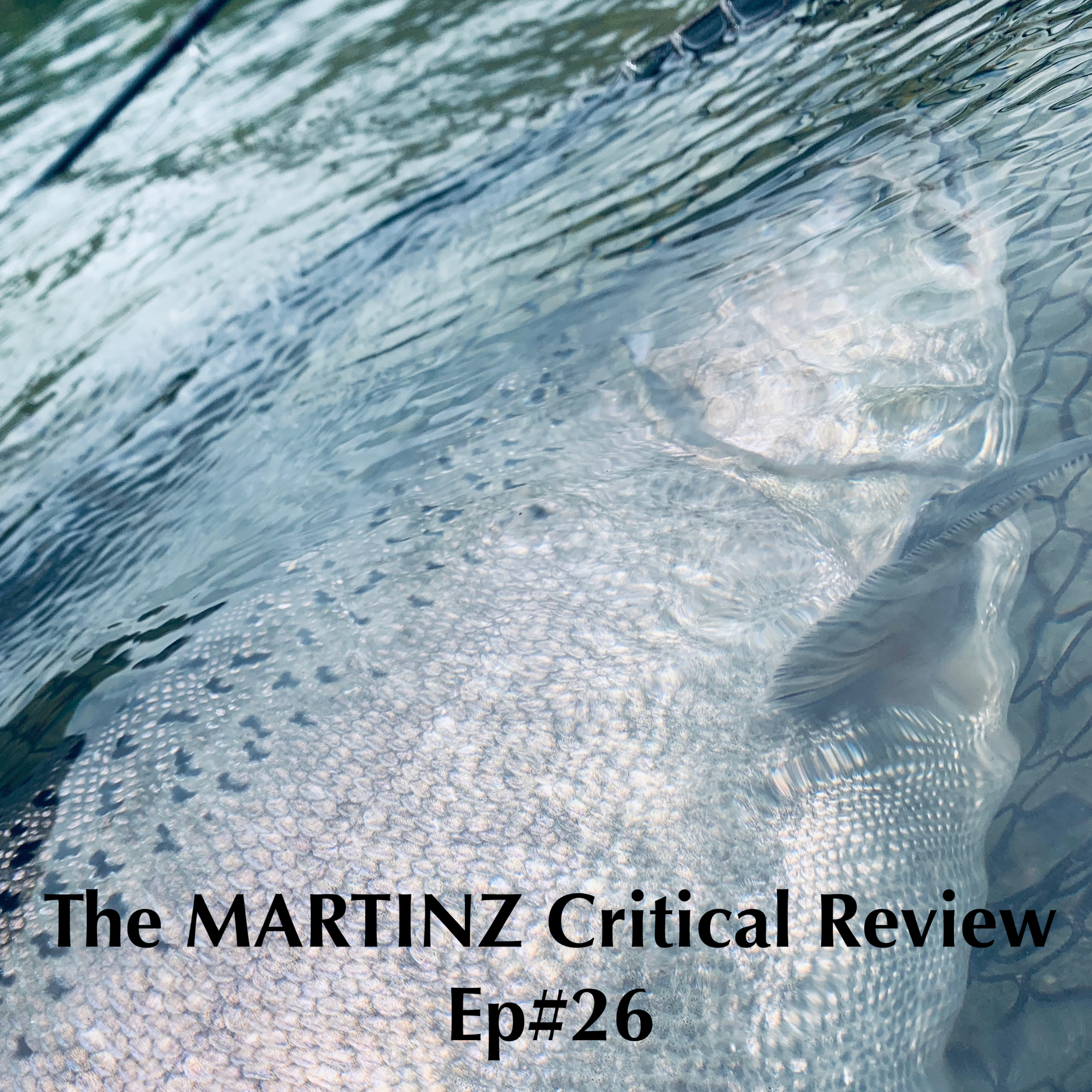 The MARTINZ Critical Review