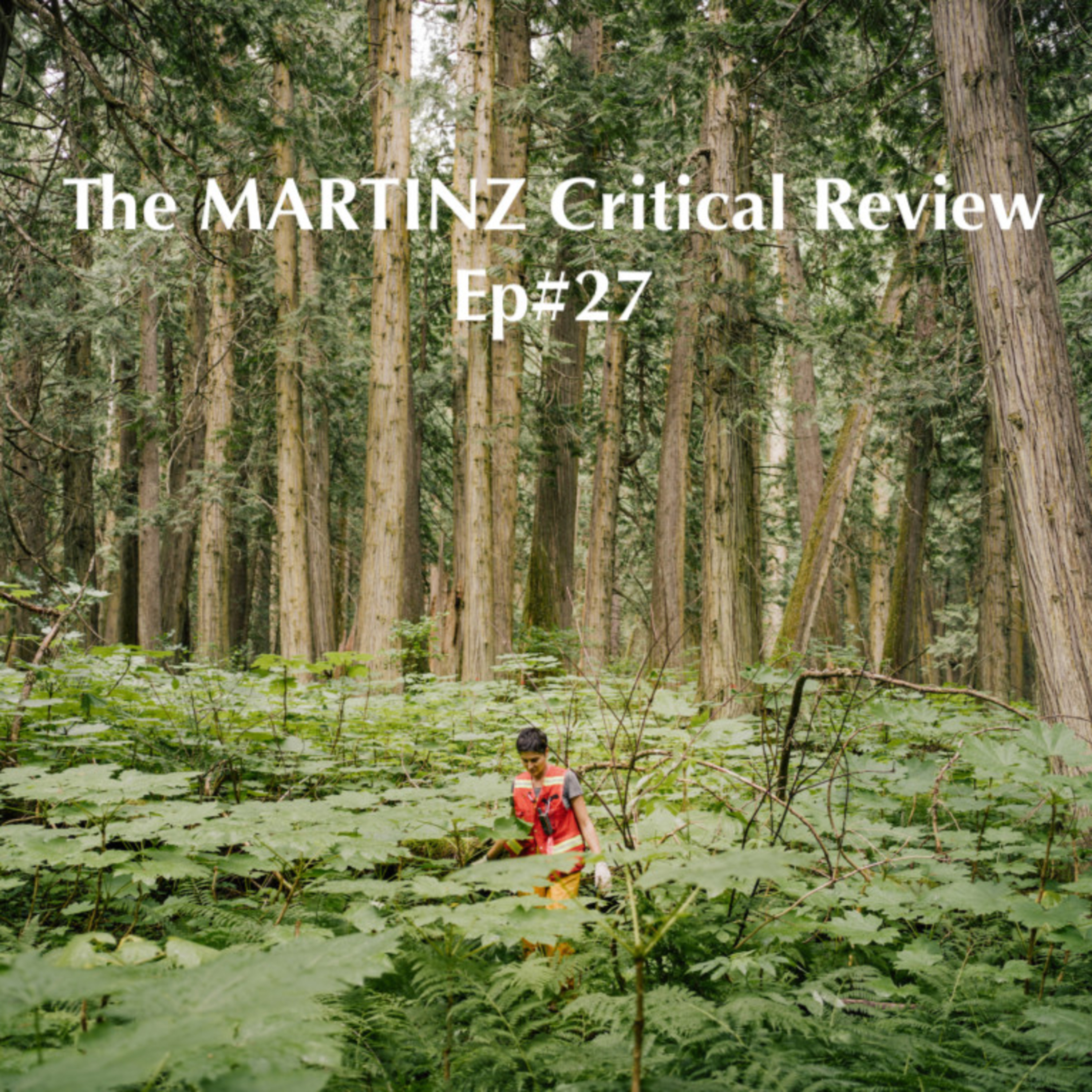 The MARTINZ Critical Review