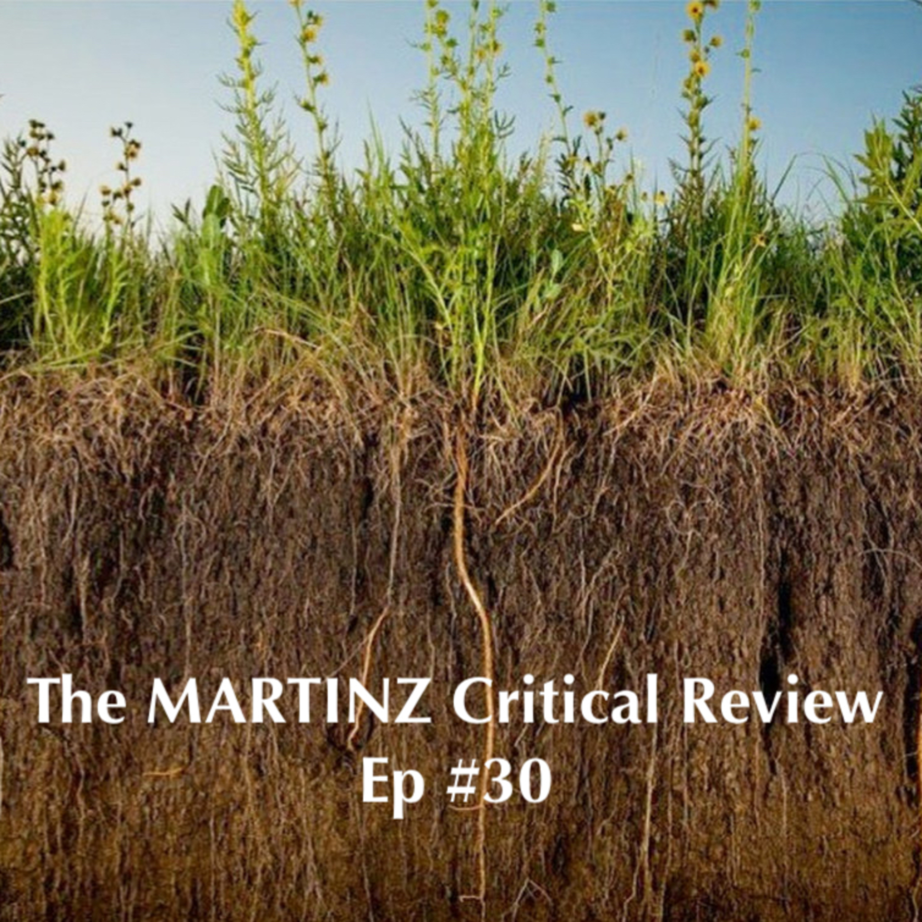 The MARTINZ Critical Review