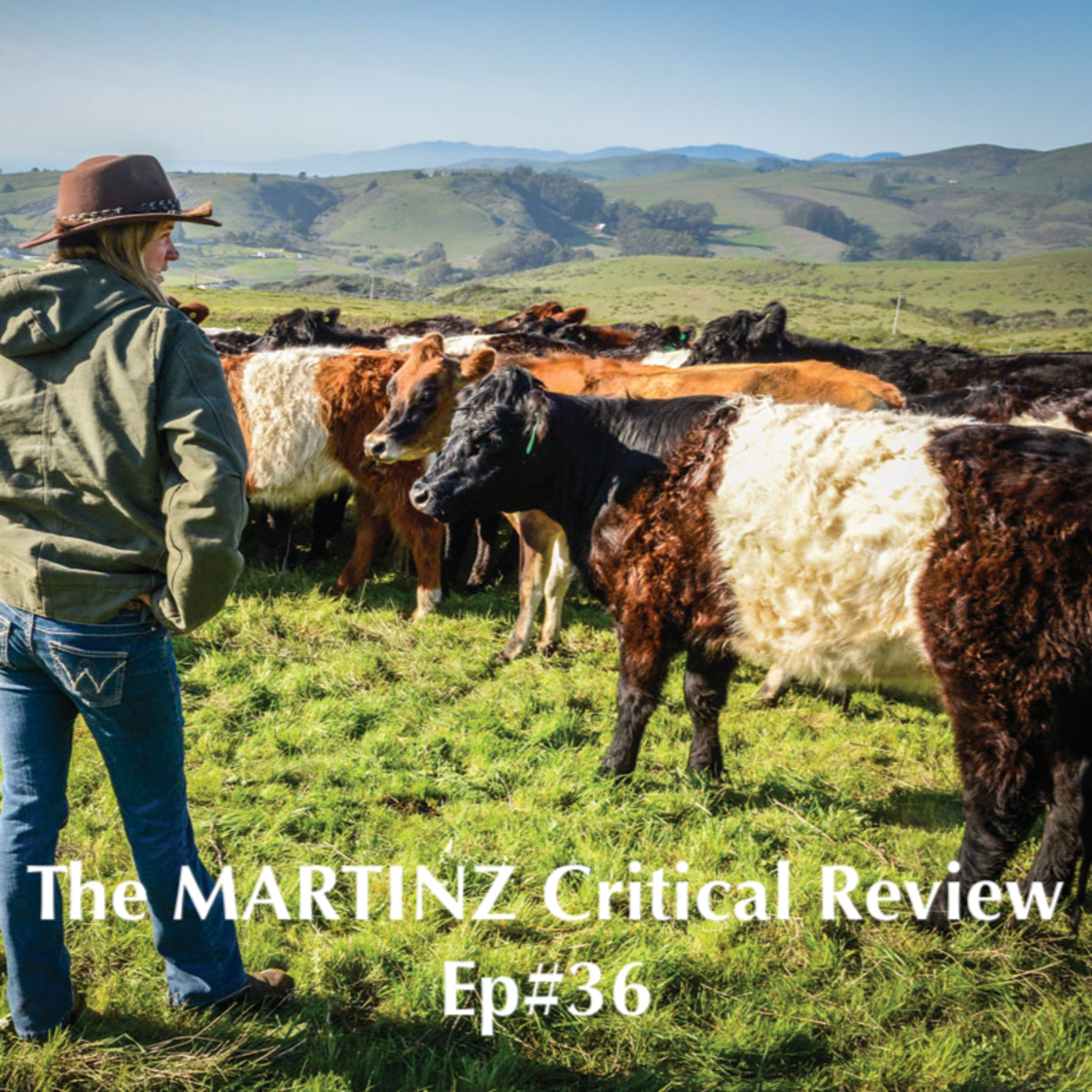 The MARTINZ Critical Review