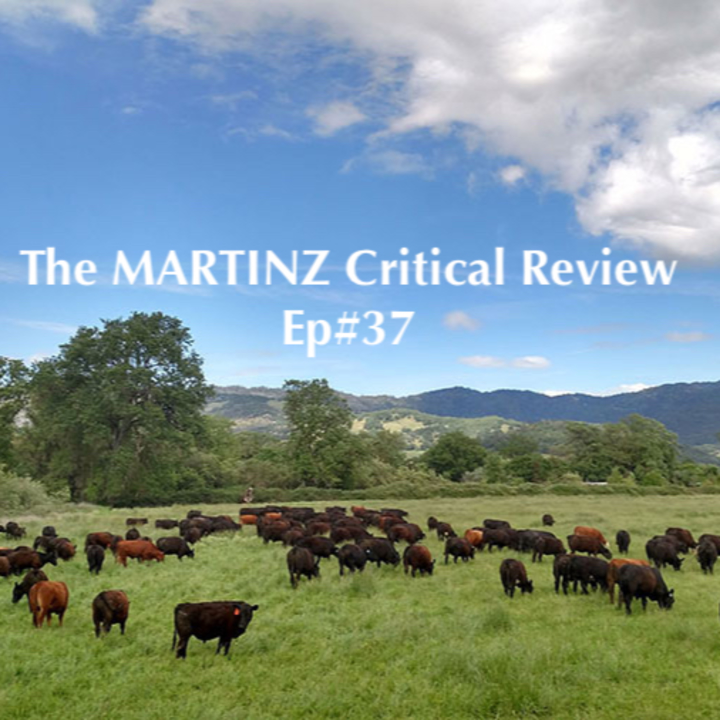 The MARTINZ Critical Review