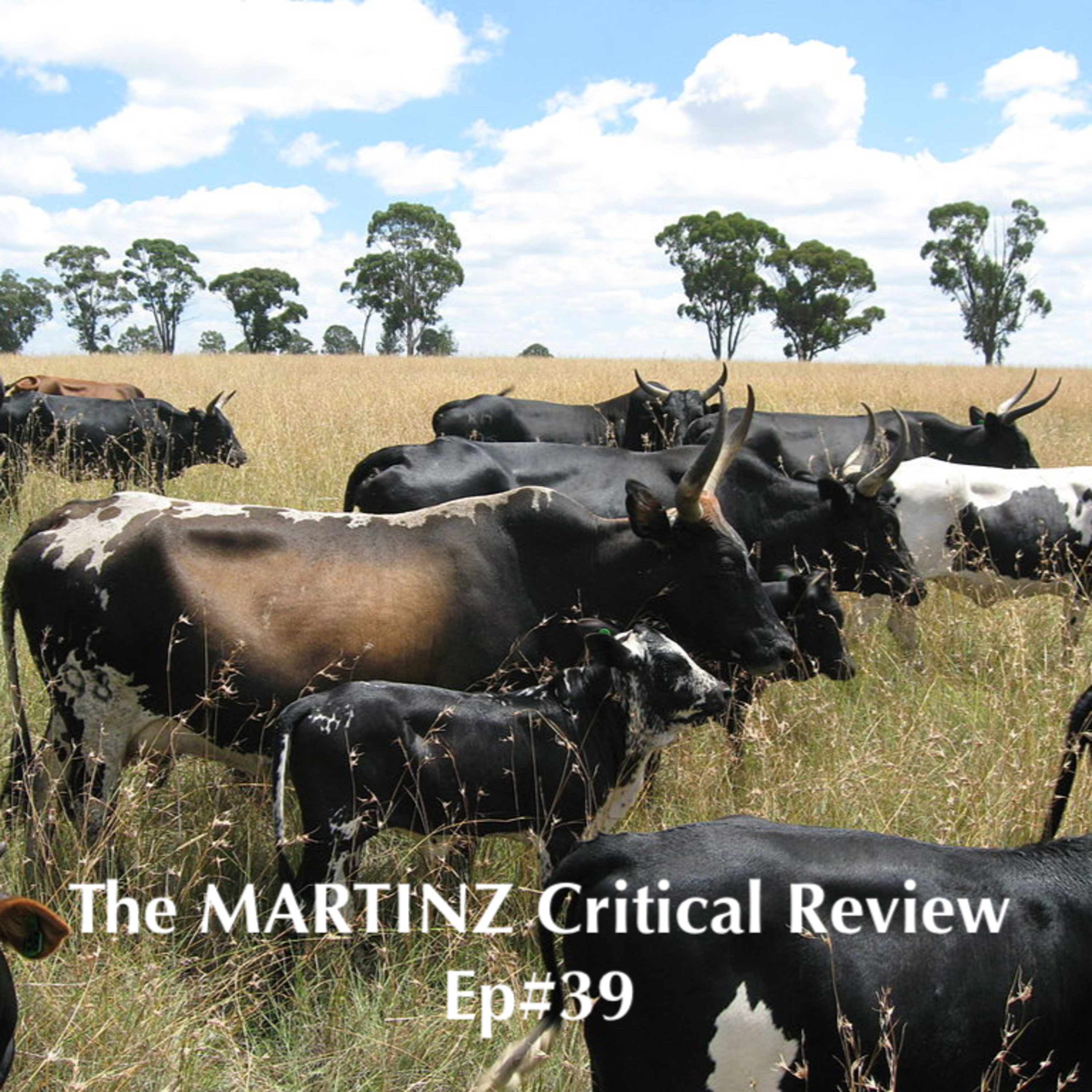 The MARTINZ Critical Review