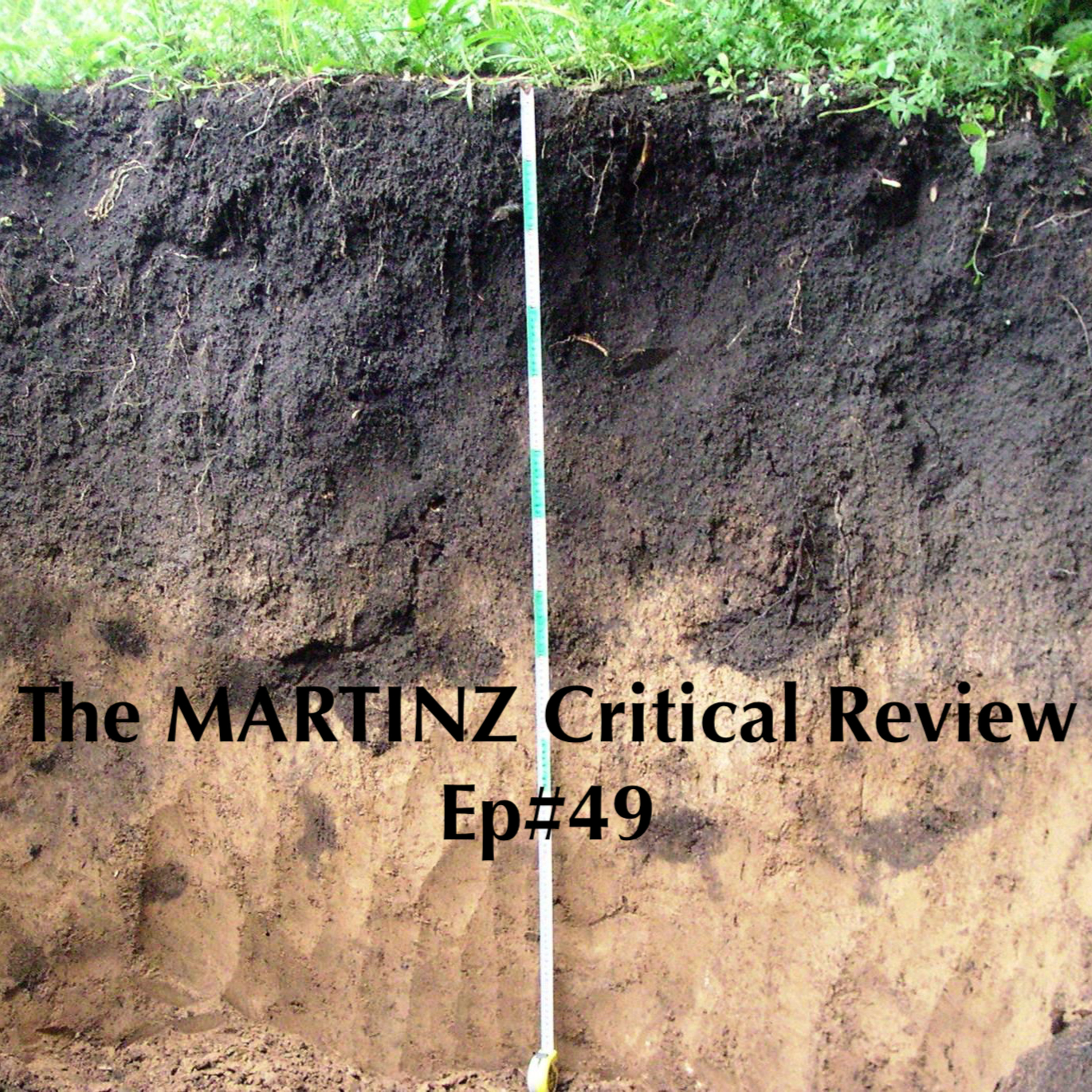 The MARTINZ Critical Review