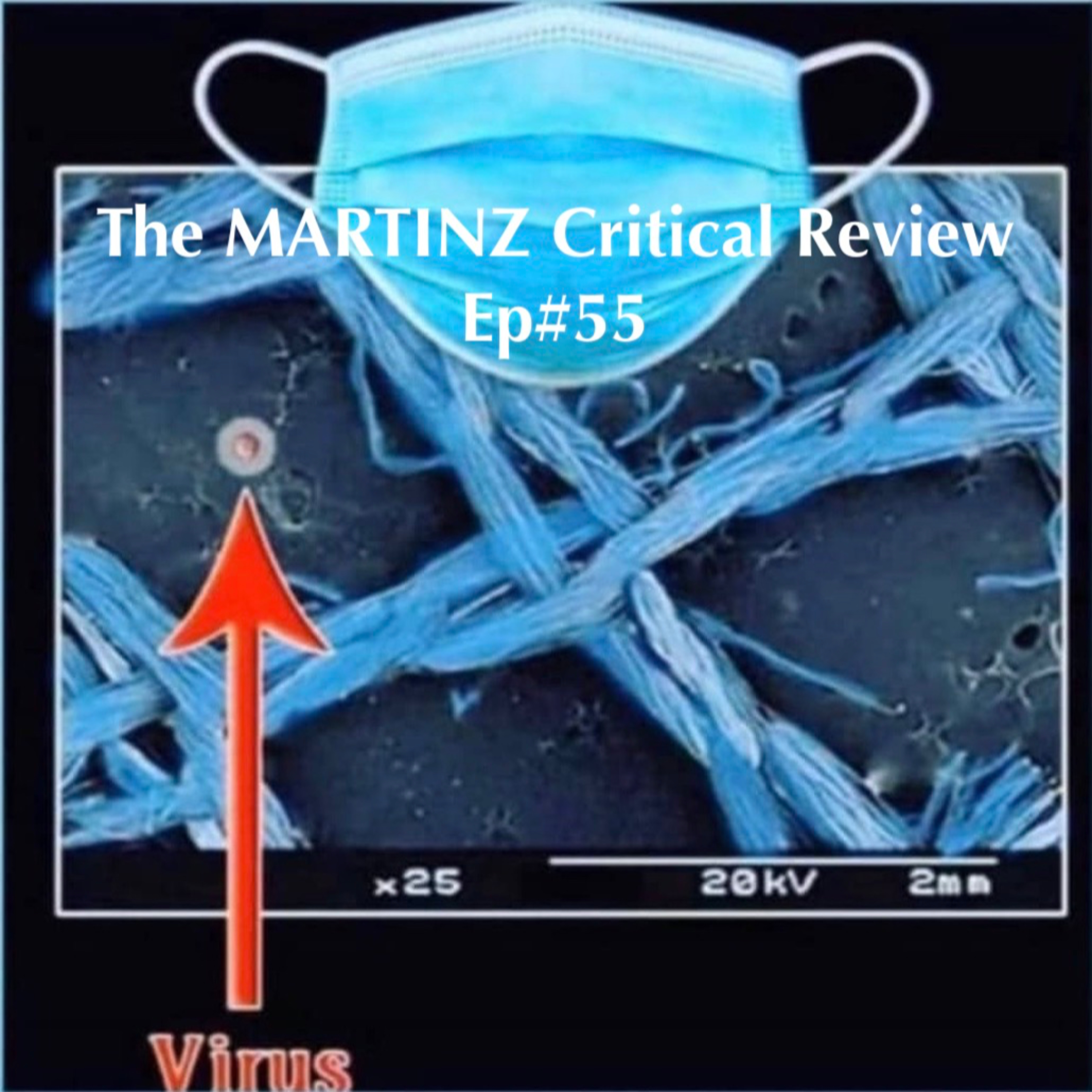 The MARTINZ Critical Review