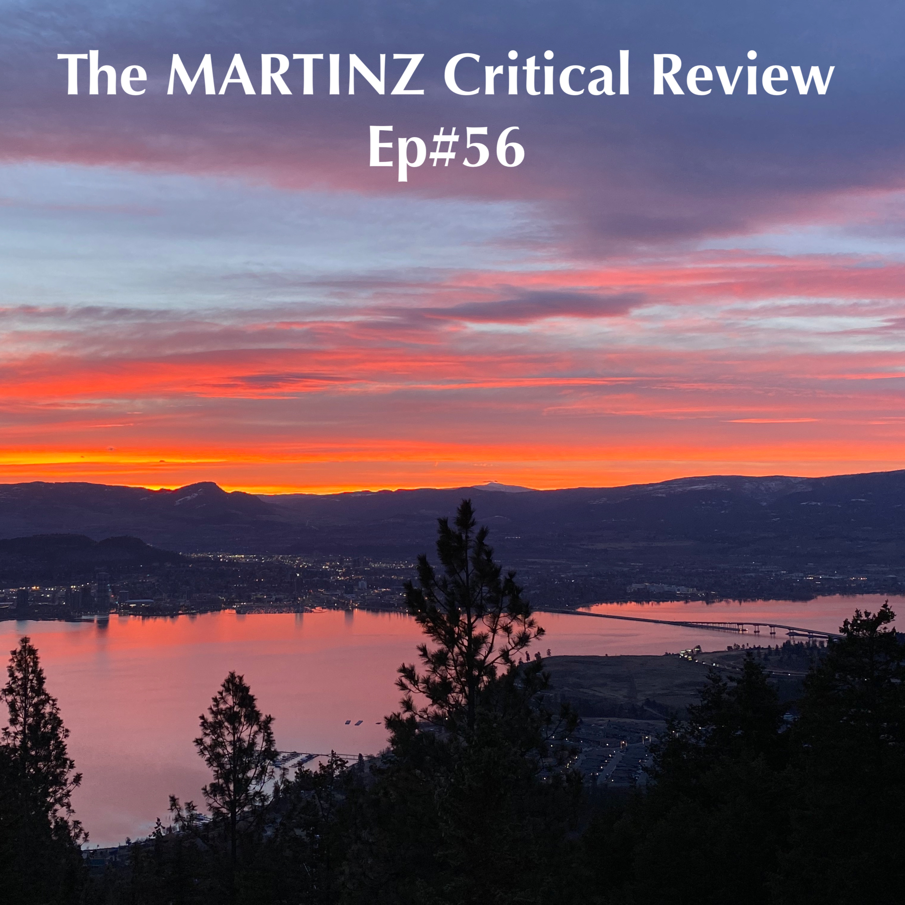 The MARTINZ Critical Review