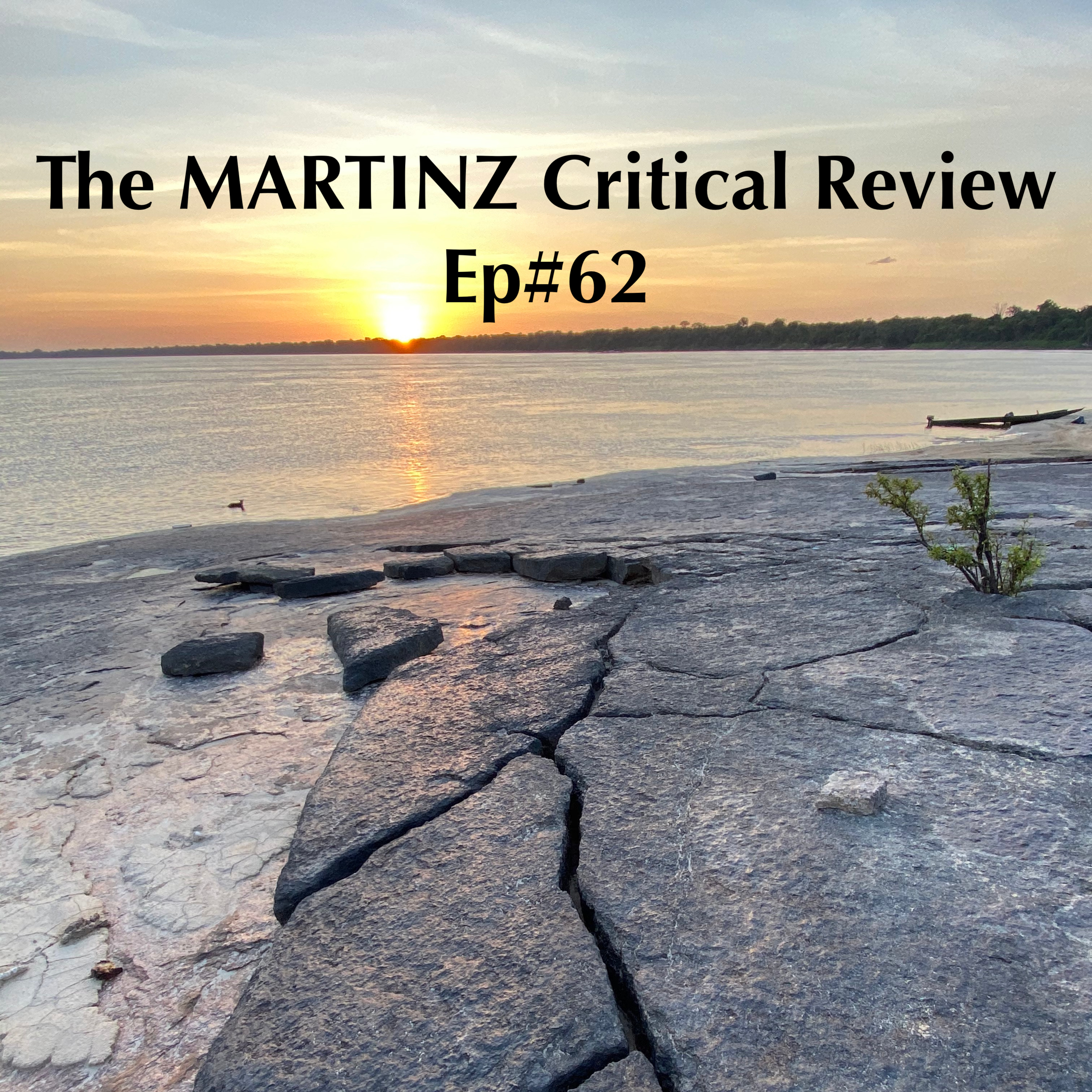 The MARTINZ Critical Review