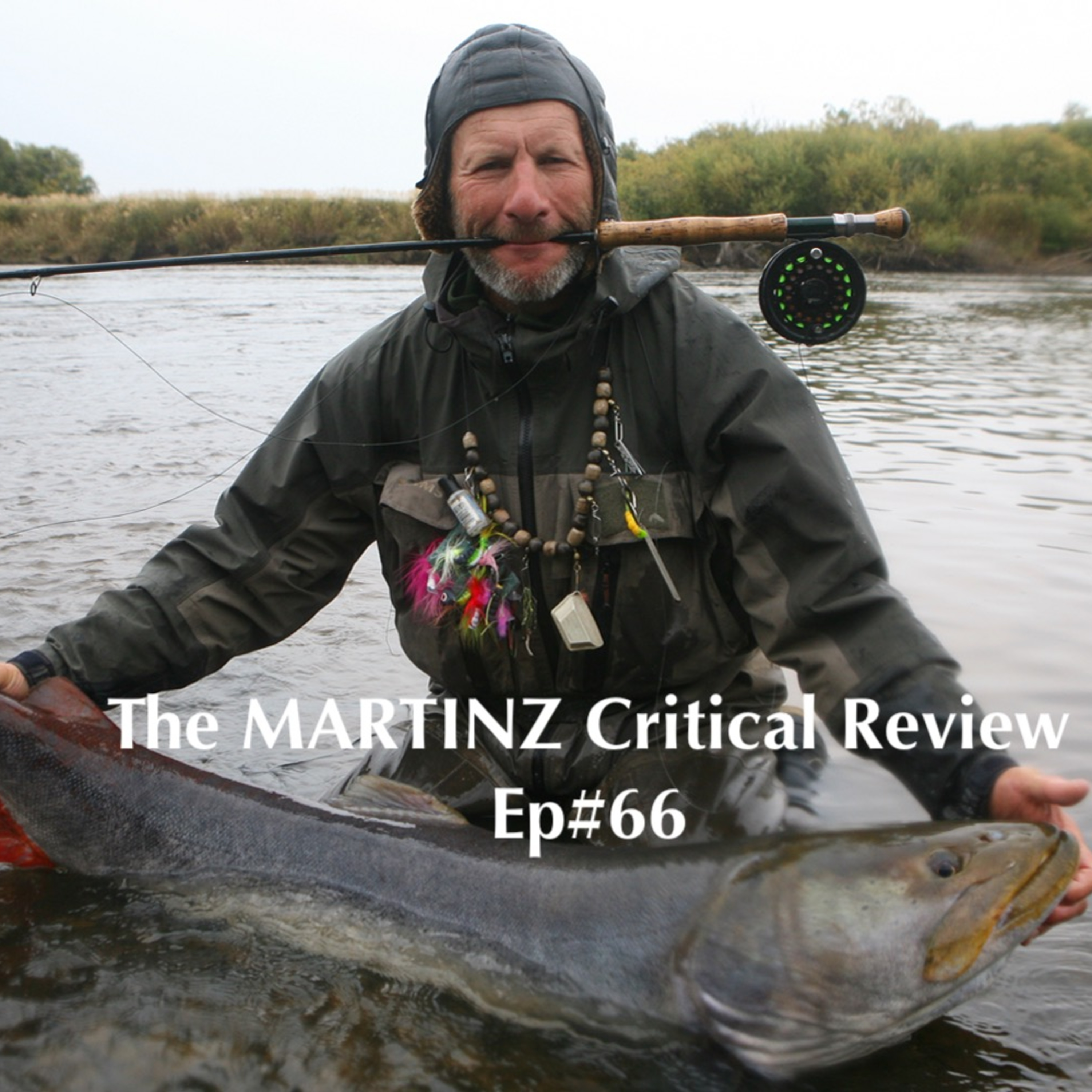 The MARTINZ Critical Review