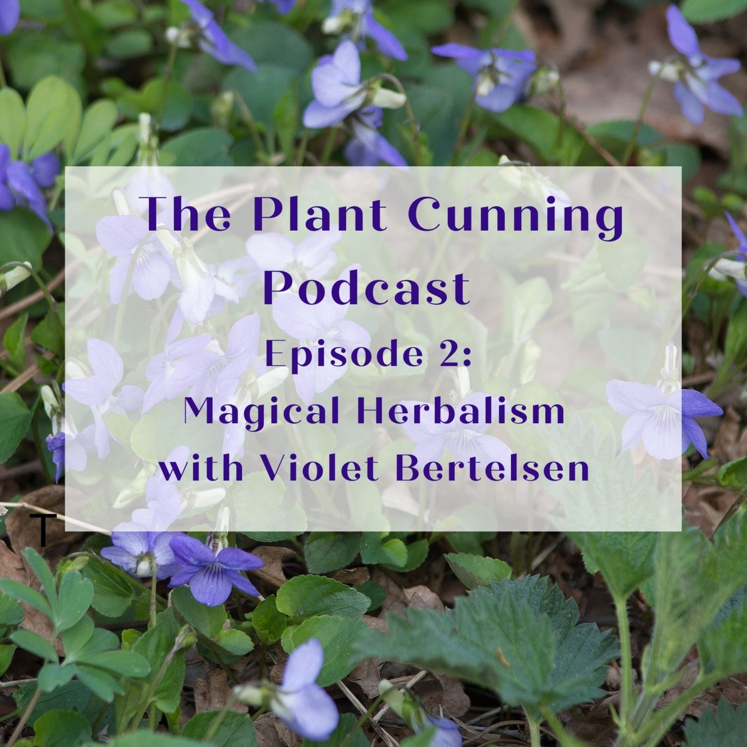 Plant Cunning Podcast