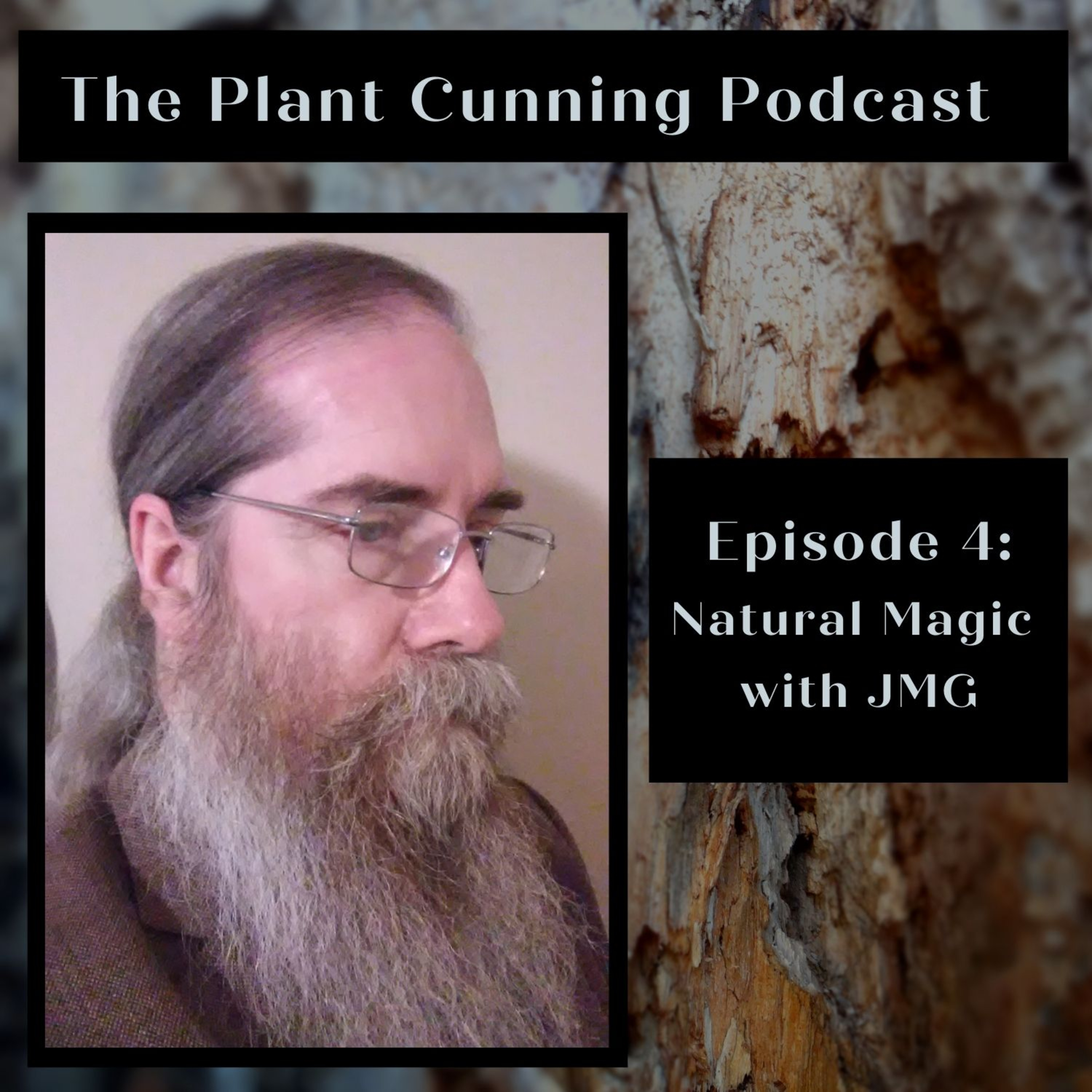 Ep4. John Michael Greer On Natural Magic