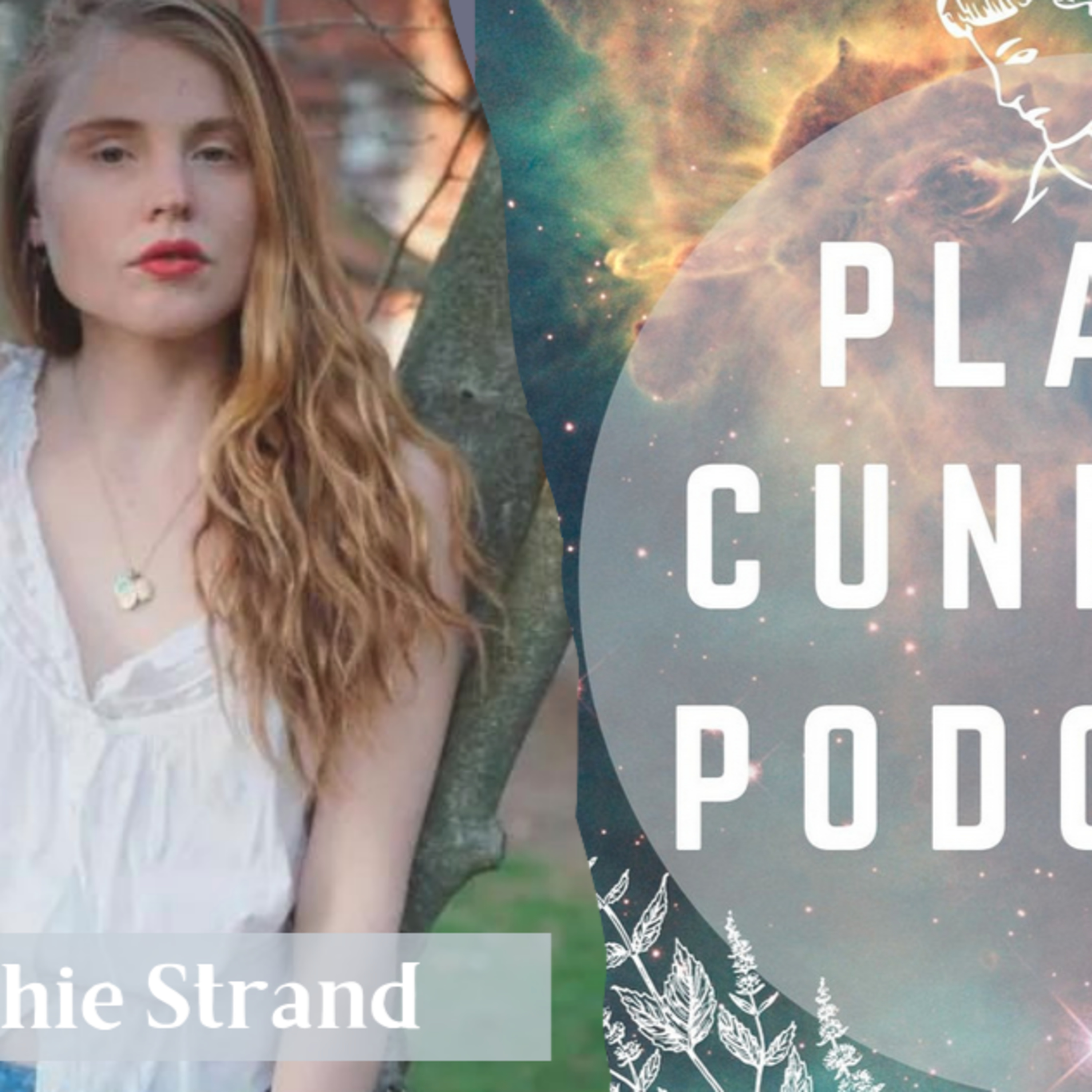 Ep.74: Sophie Strand on Mychorrhizal Myths, Magic and Golden Roses