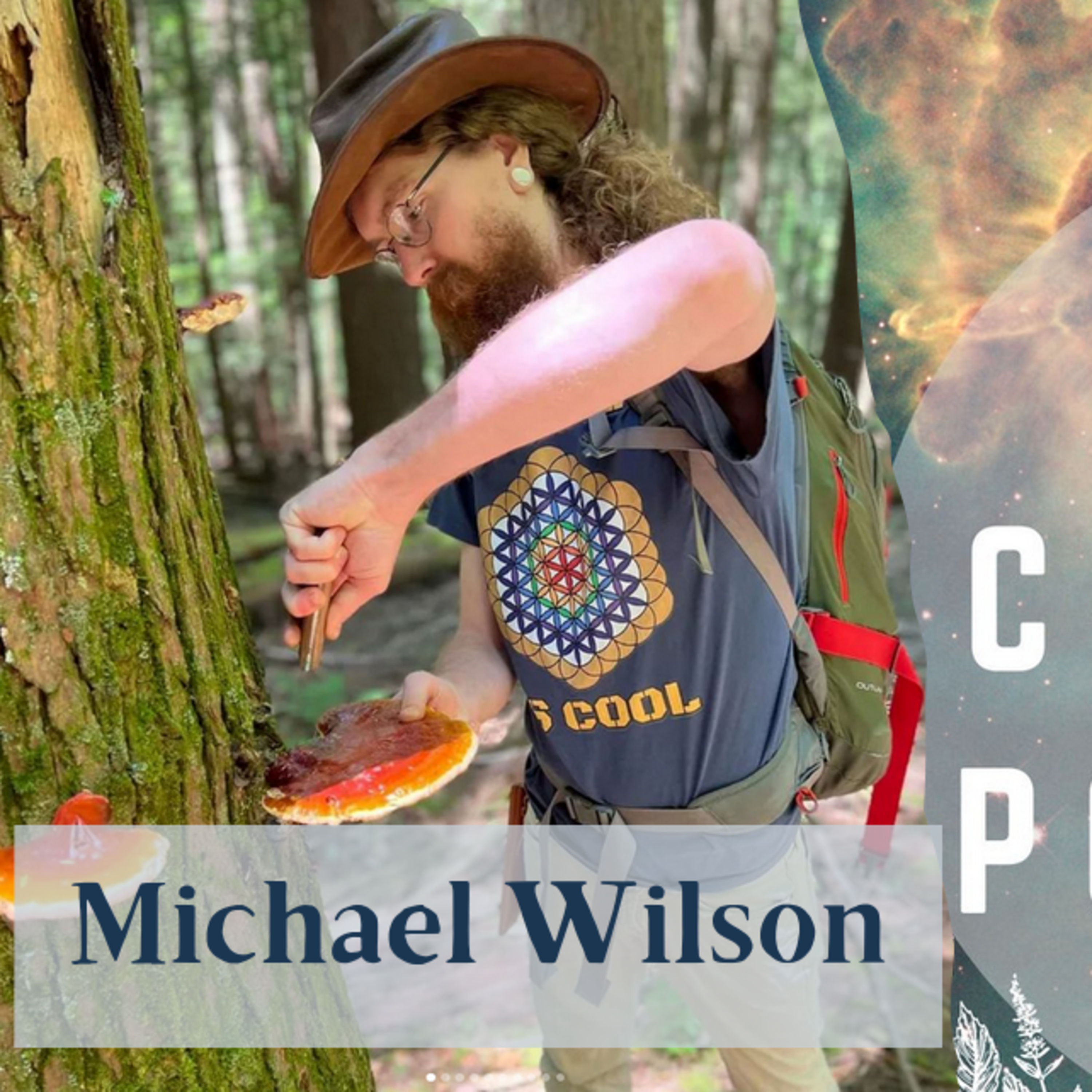 Ep.95: All Things Amanita with Michael WIlson