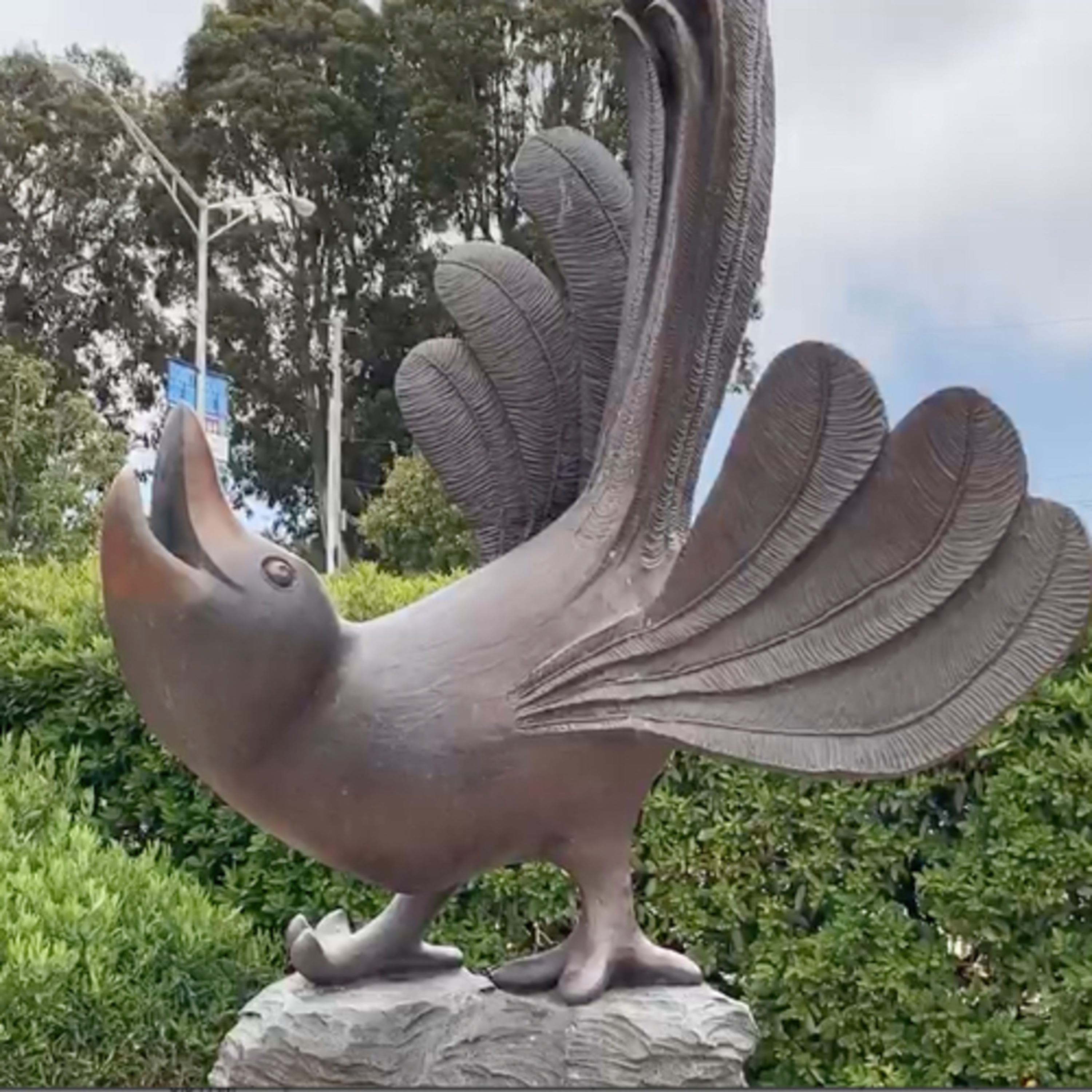 SSF Parks and Recreation Department