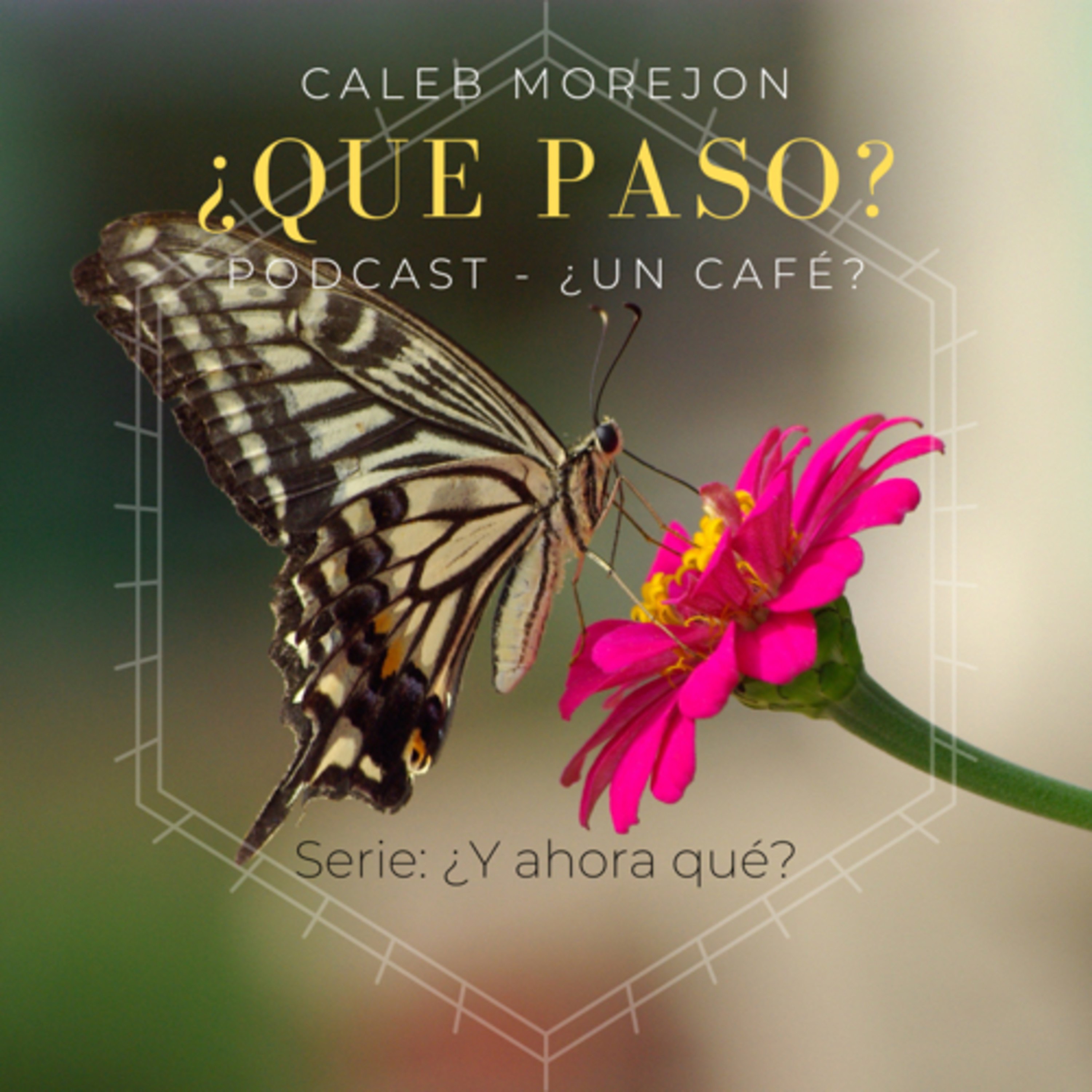 Portada de ¿Un café?