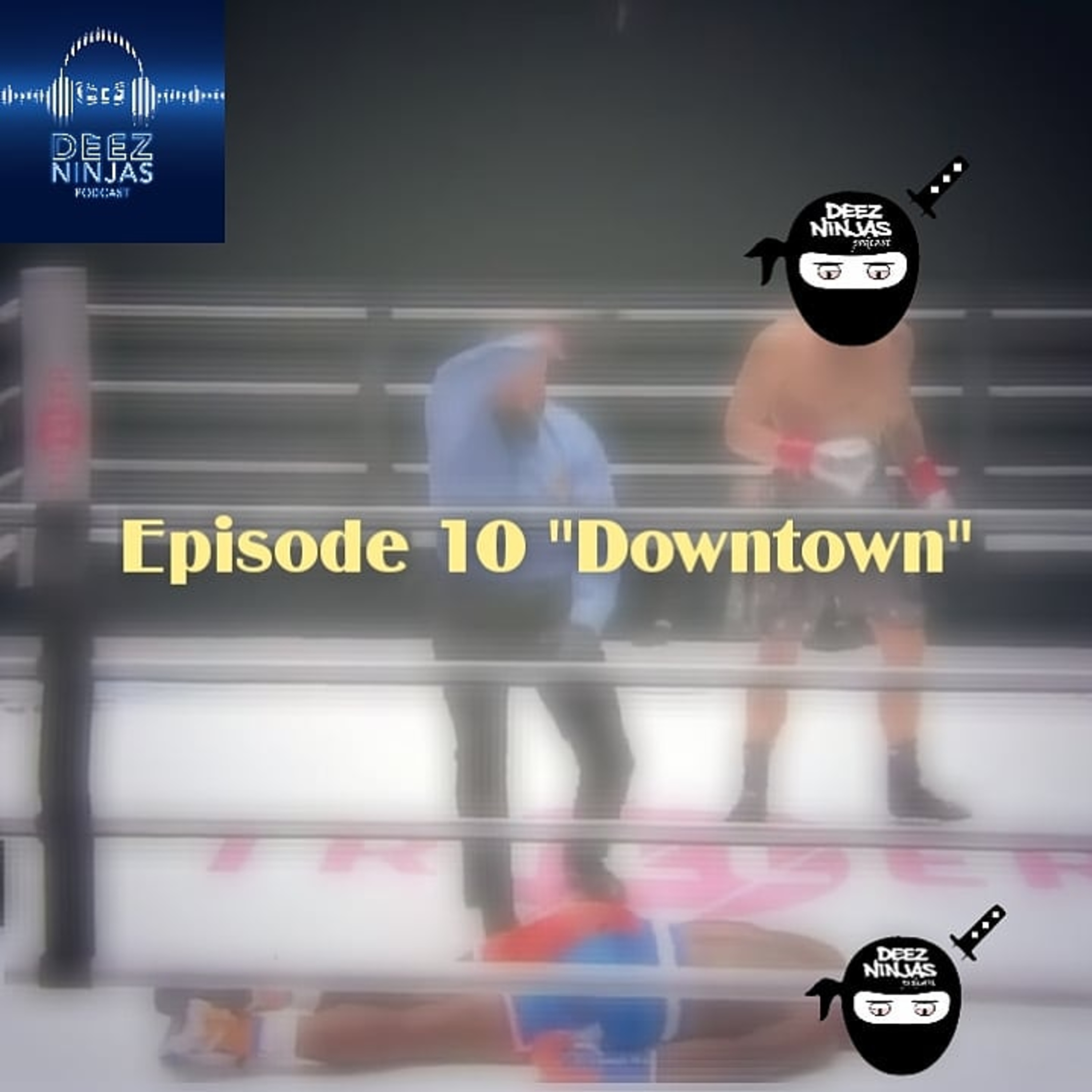 Deez Ninjas Podcast