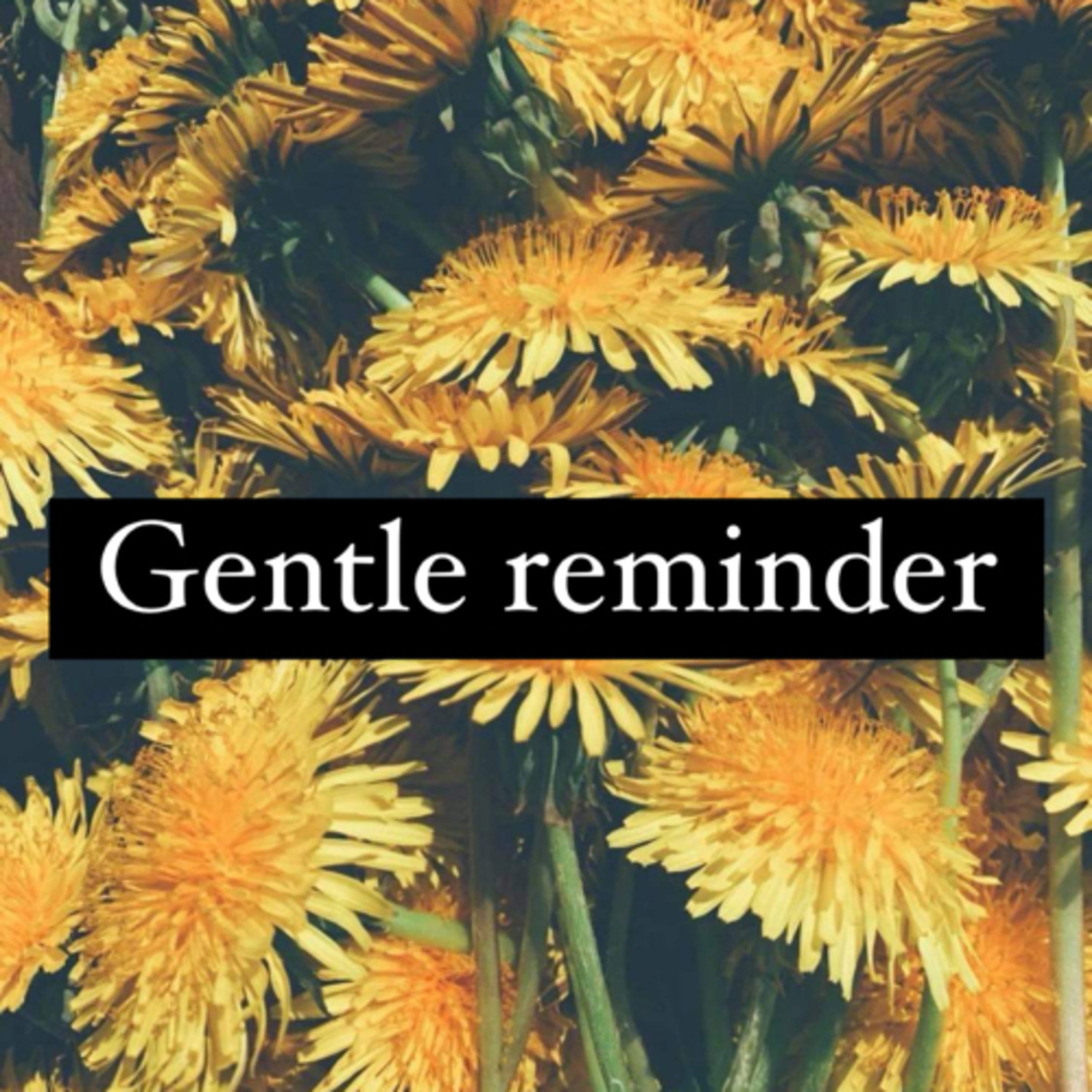 Things I will be talking about