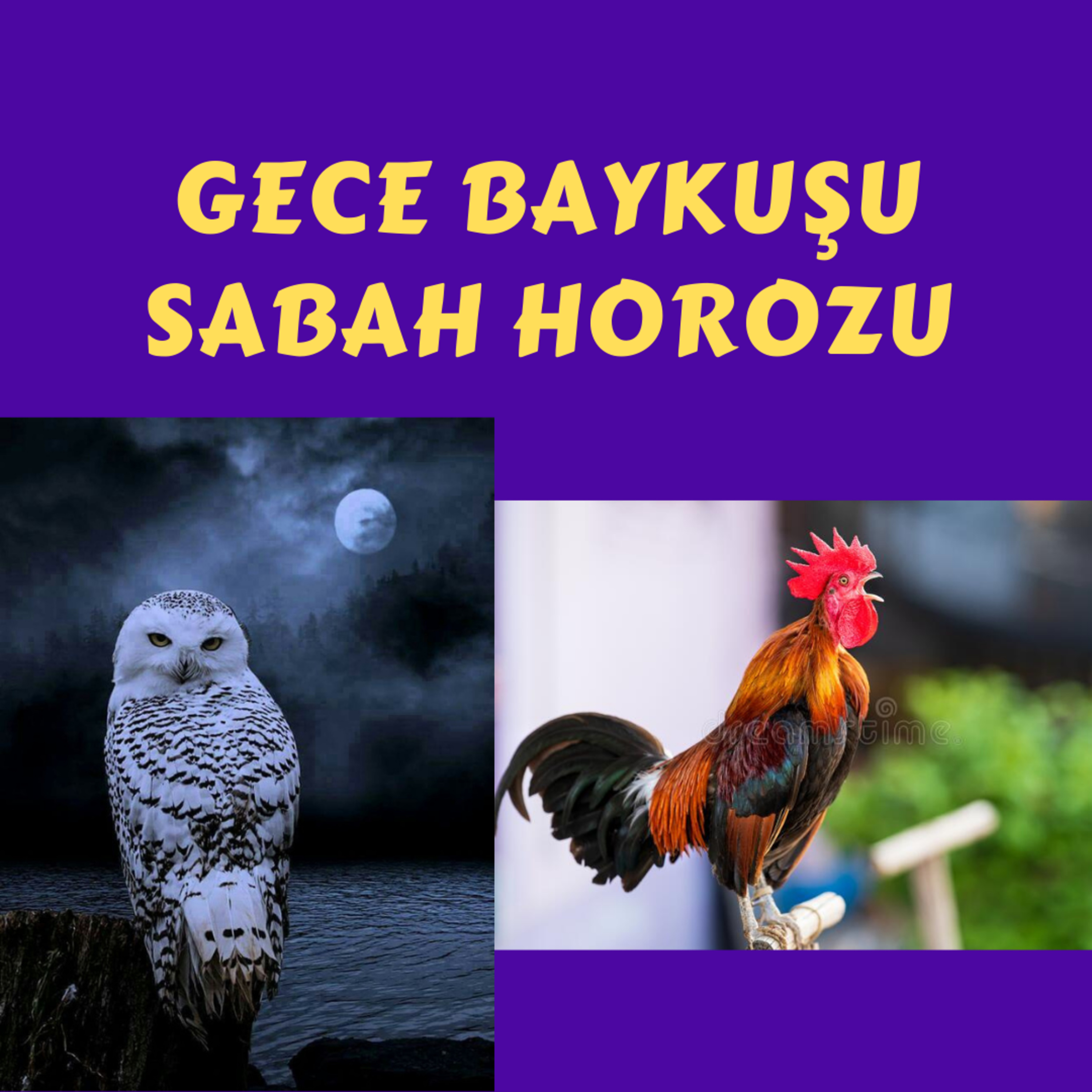 GÜNCEL, SAĞLIK \'\' KISSADAN HİSSELER \'\'