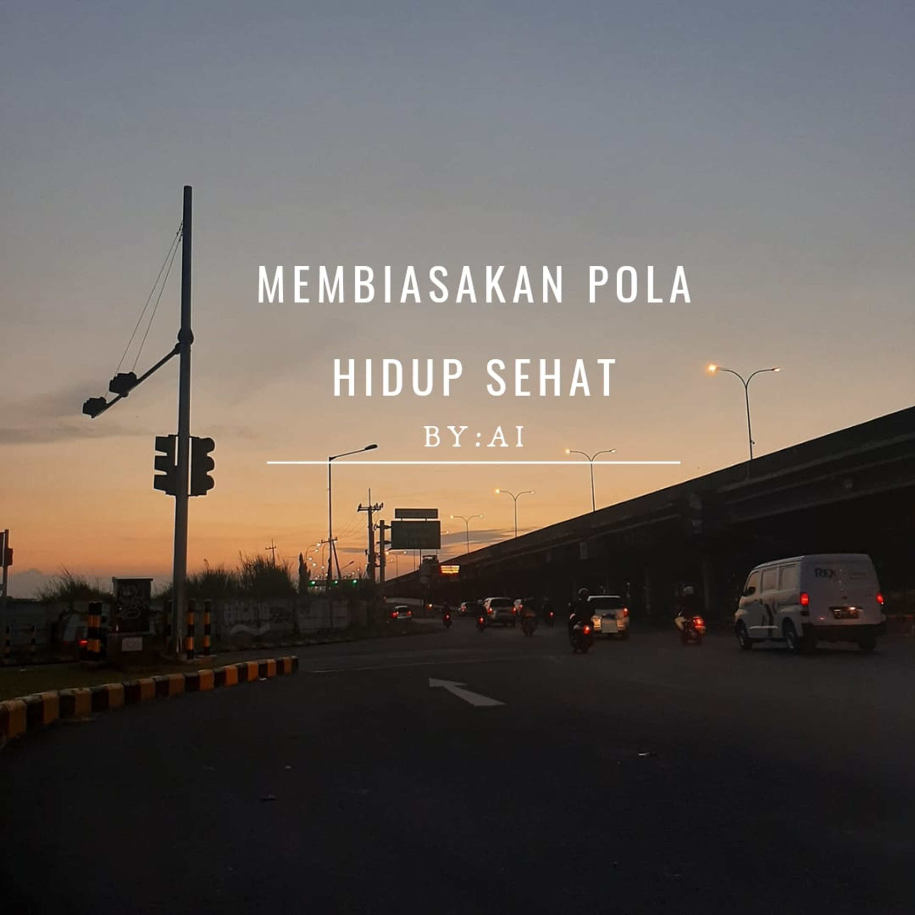 Diary Ai Nin