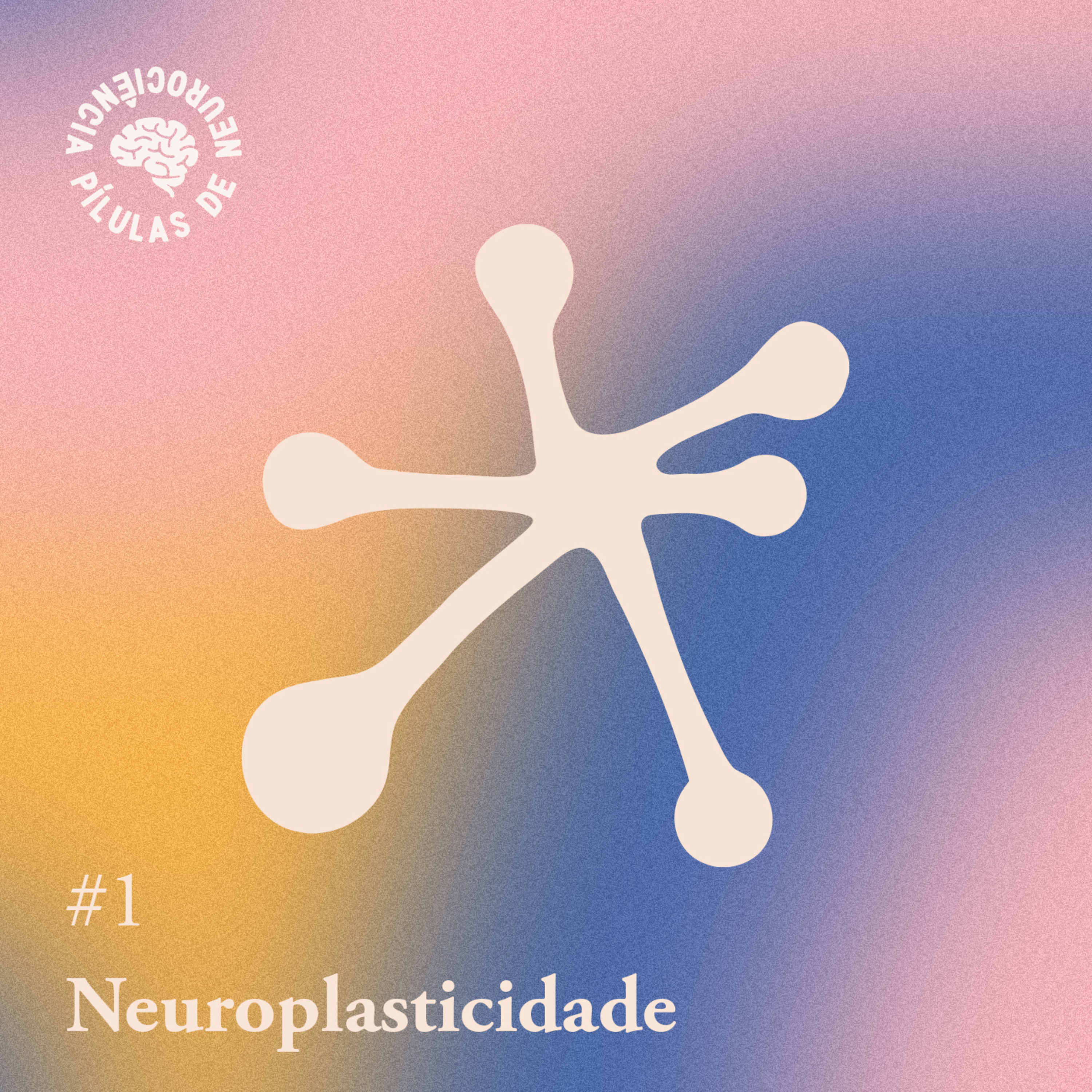 Arquivo #36 - Pílulas de Neurociência: Neuroplasticidade