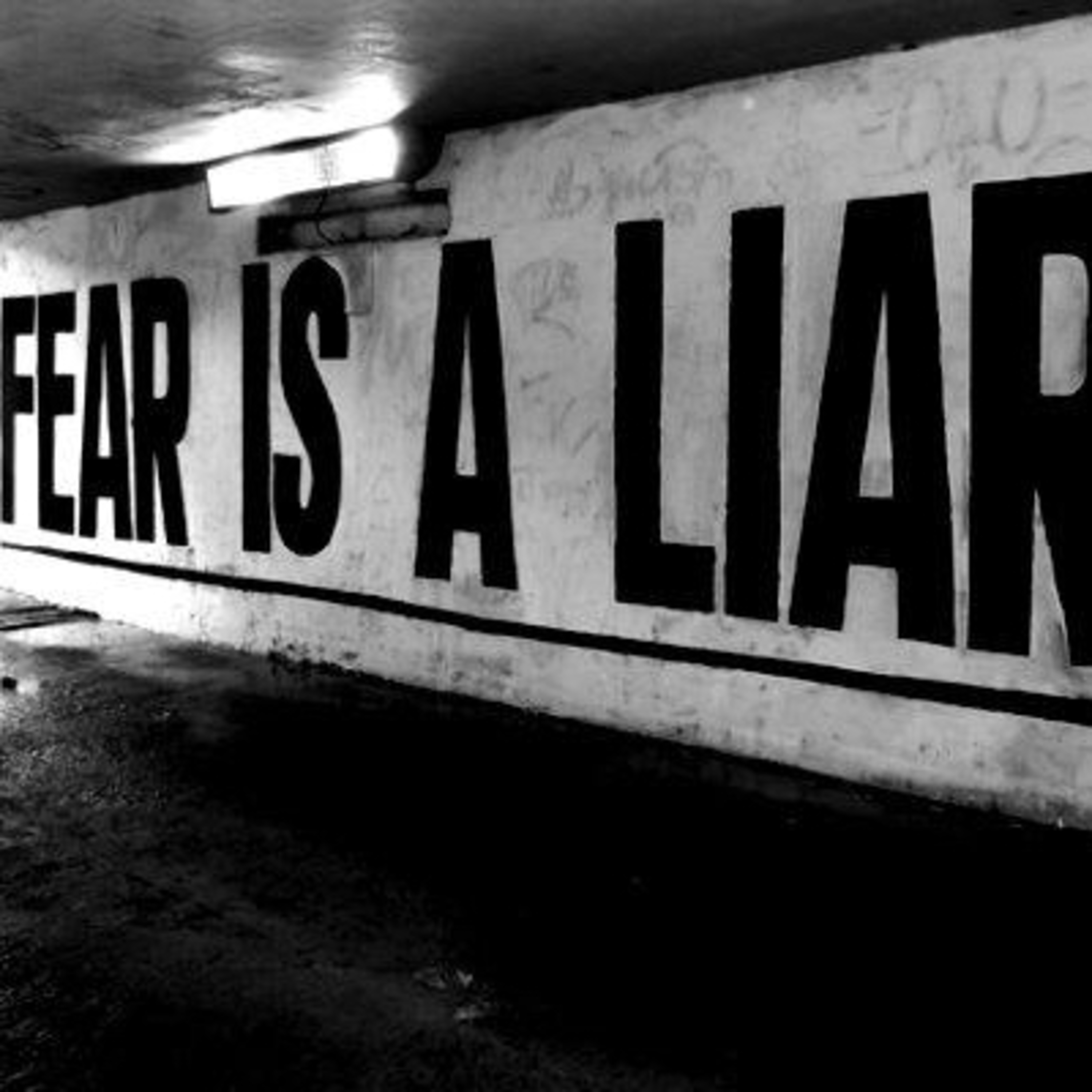 Don’t Fear  episode artwork