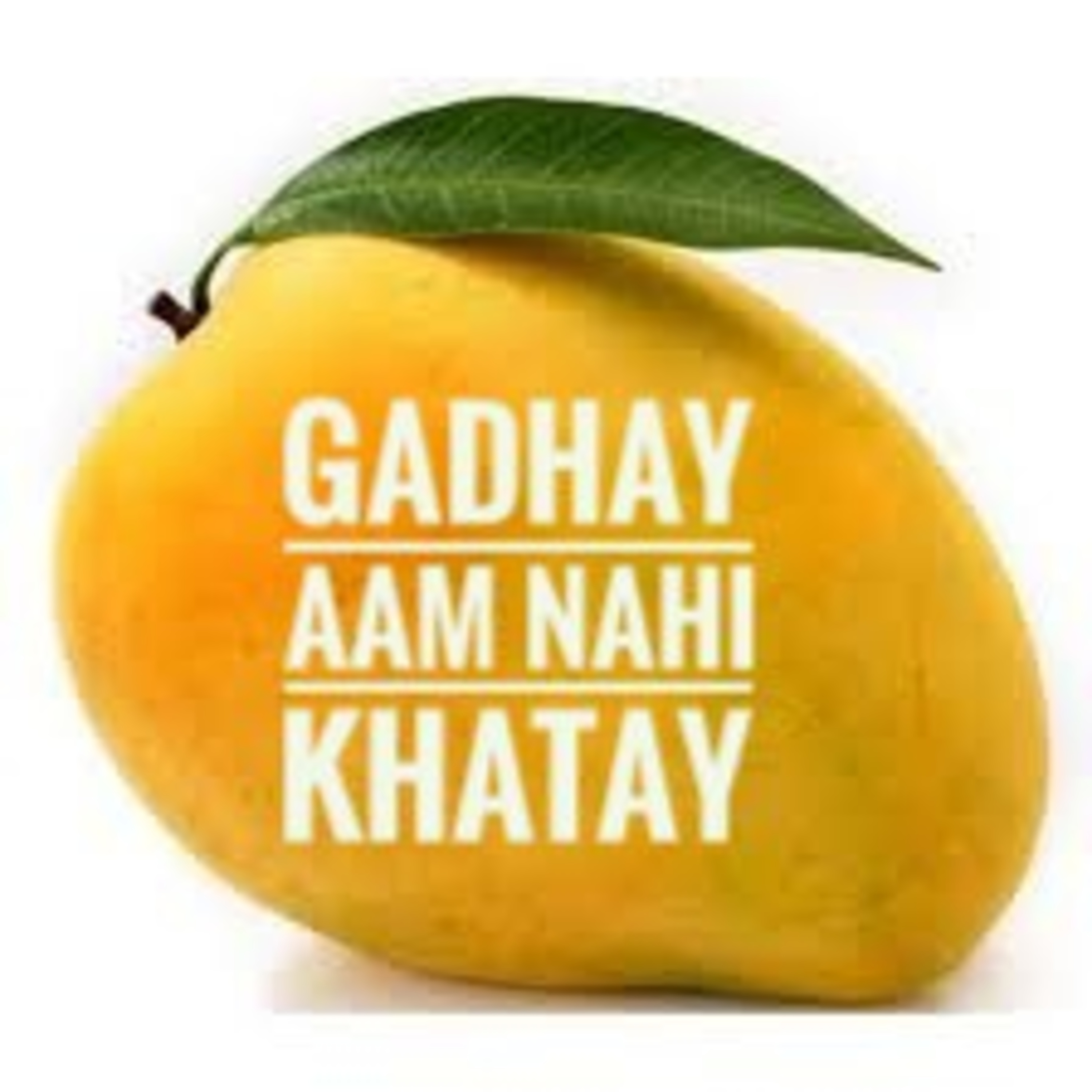 Qissay Or Kahani