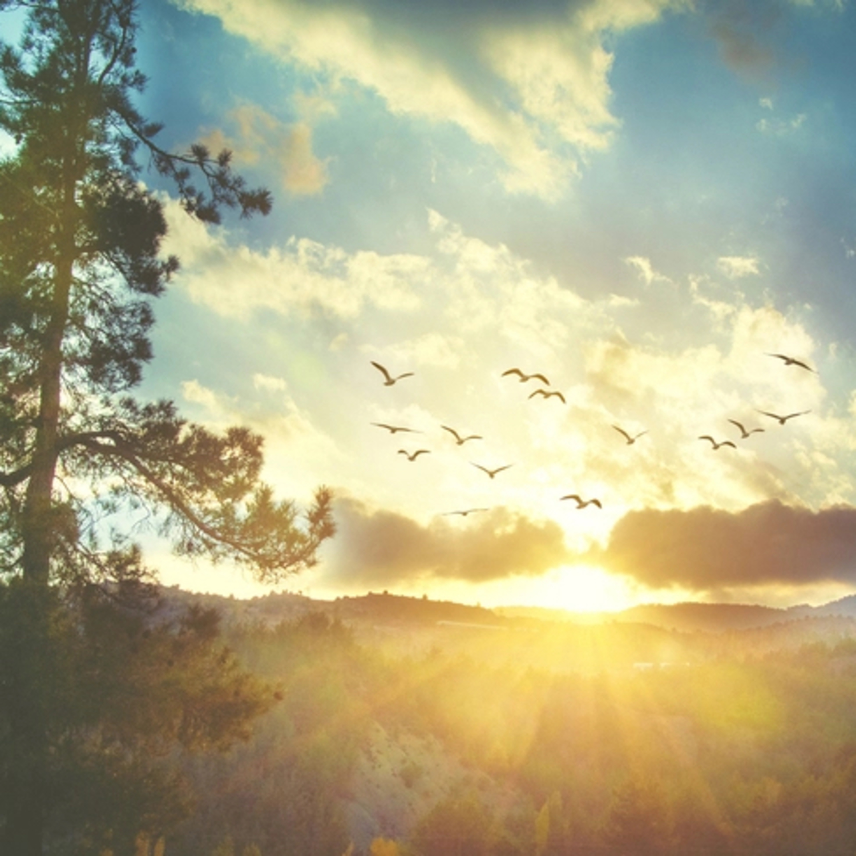 There is Newness in the Atmosphere!