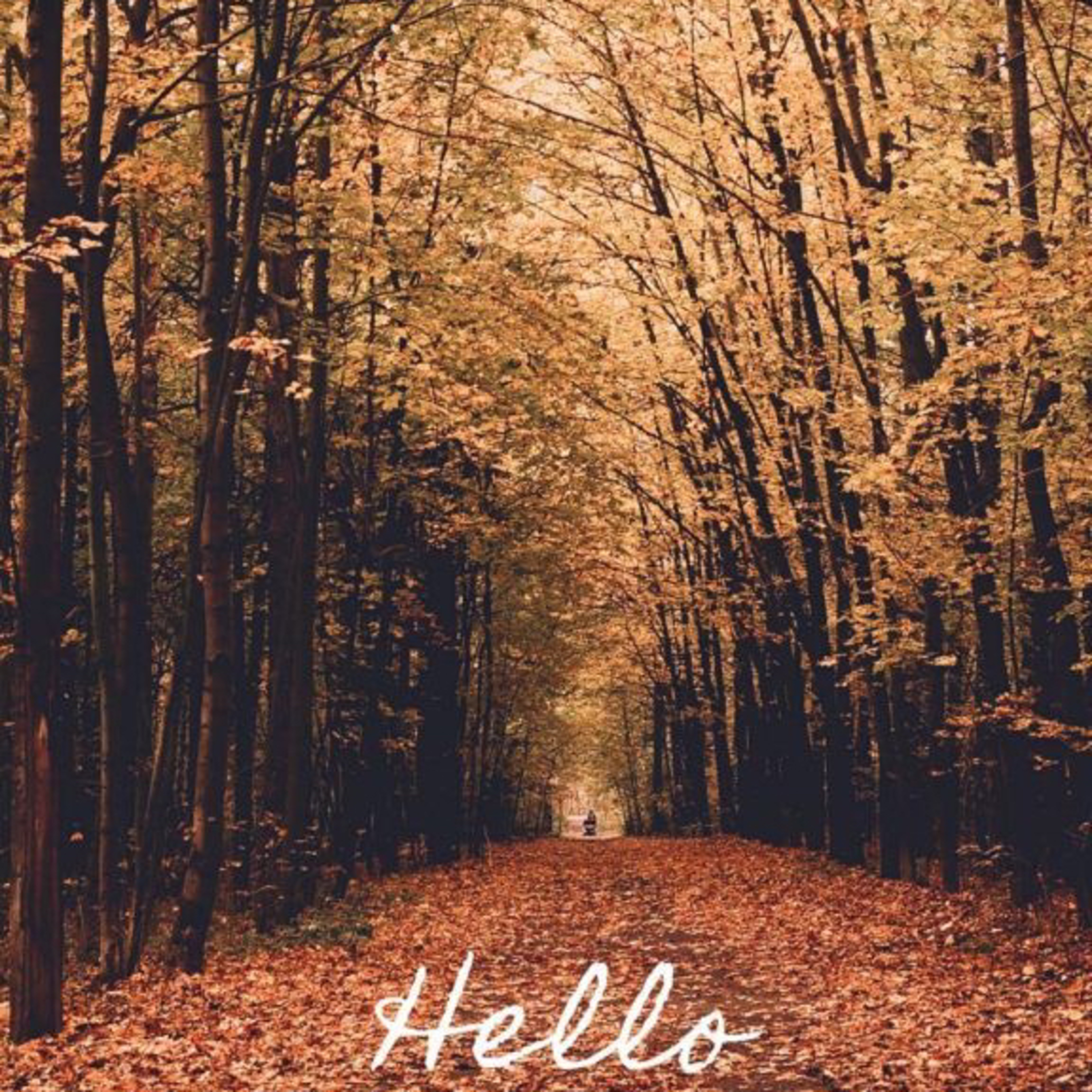 Truth about #grounding 
Part 3
Hello & Goodbye #masochism