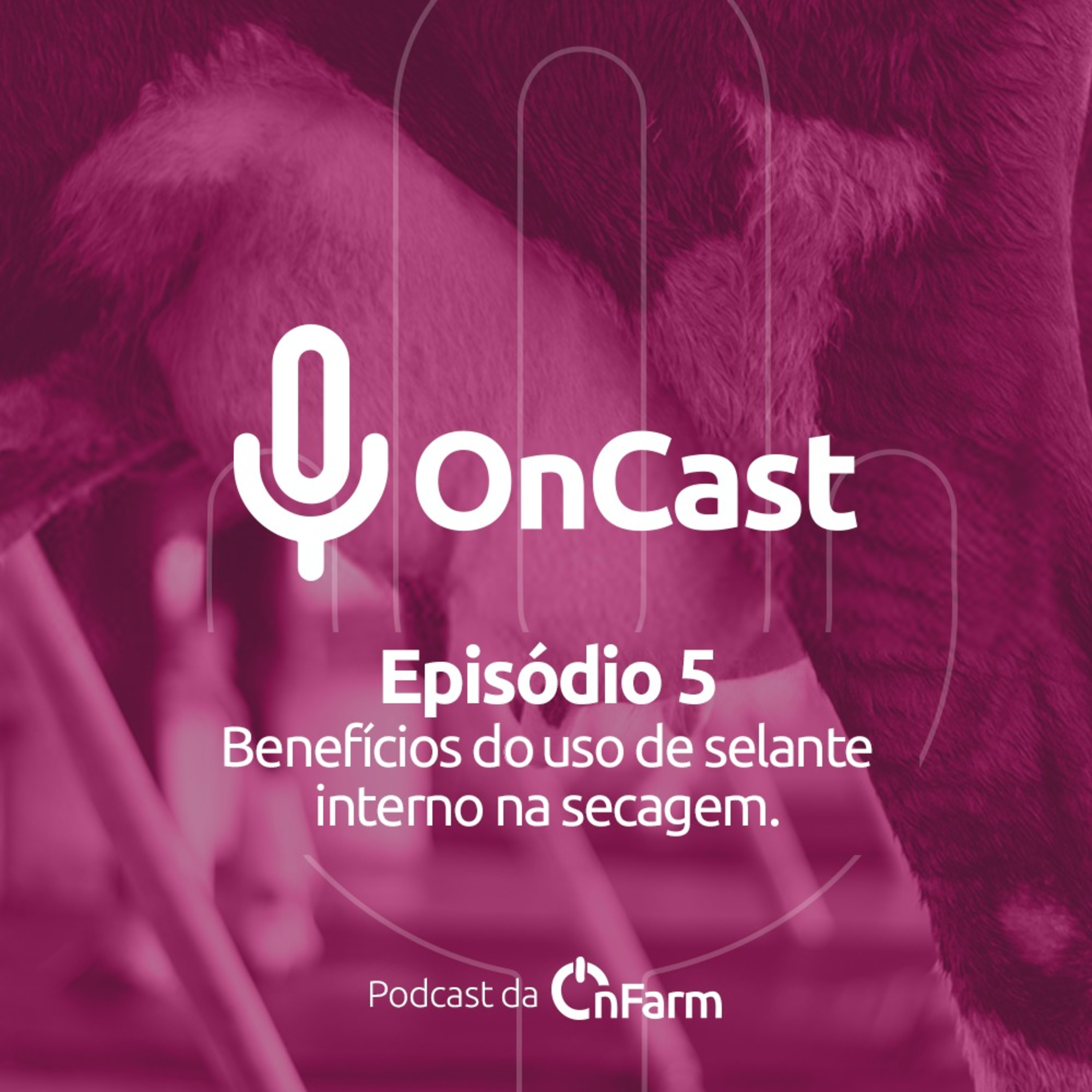 #05 - Benefícios do uso de selante interno na secagem episode artwork