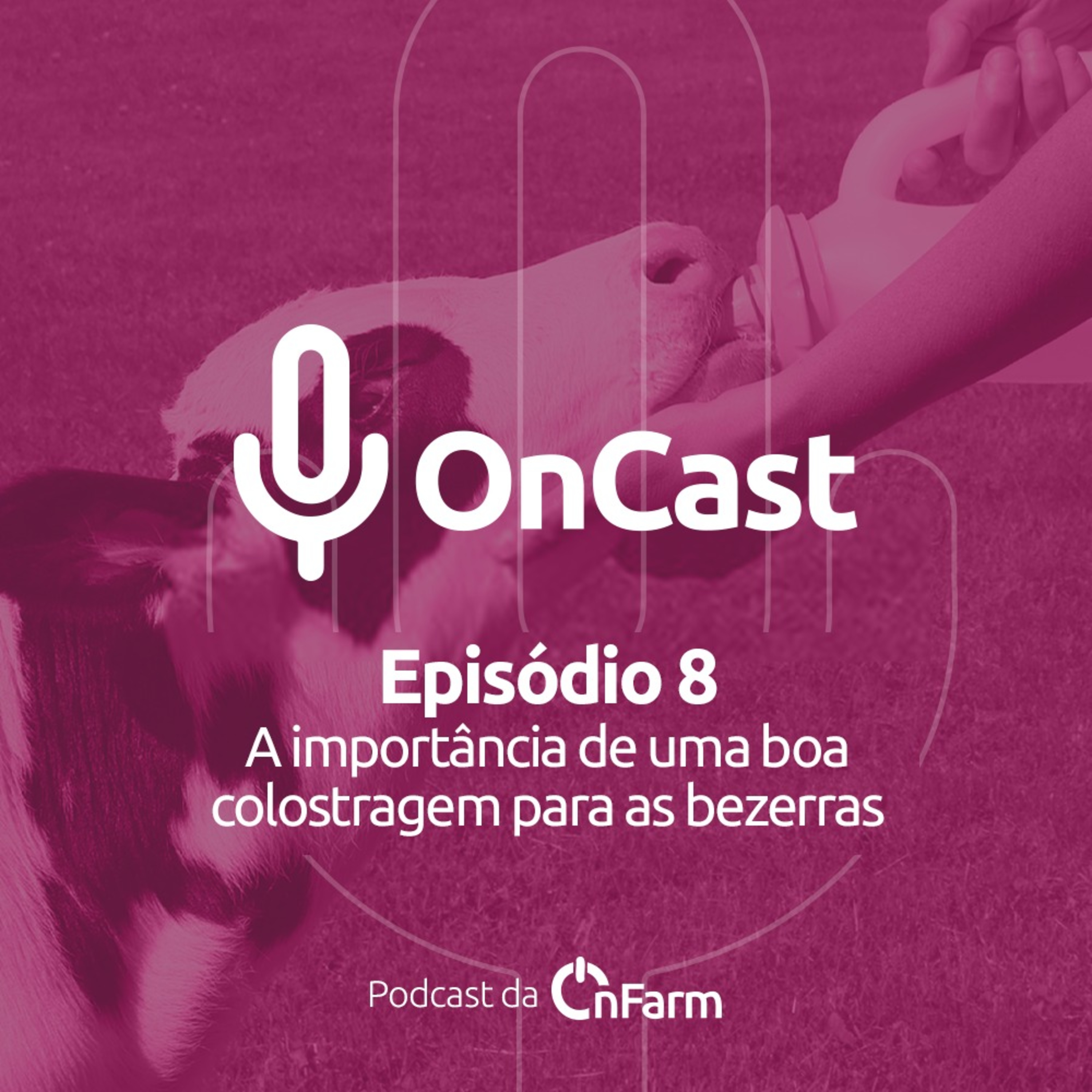 #08 - A importância de uma boa colostragem para as bezerras episode artwork