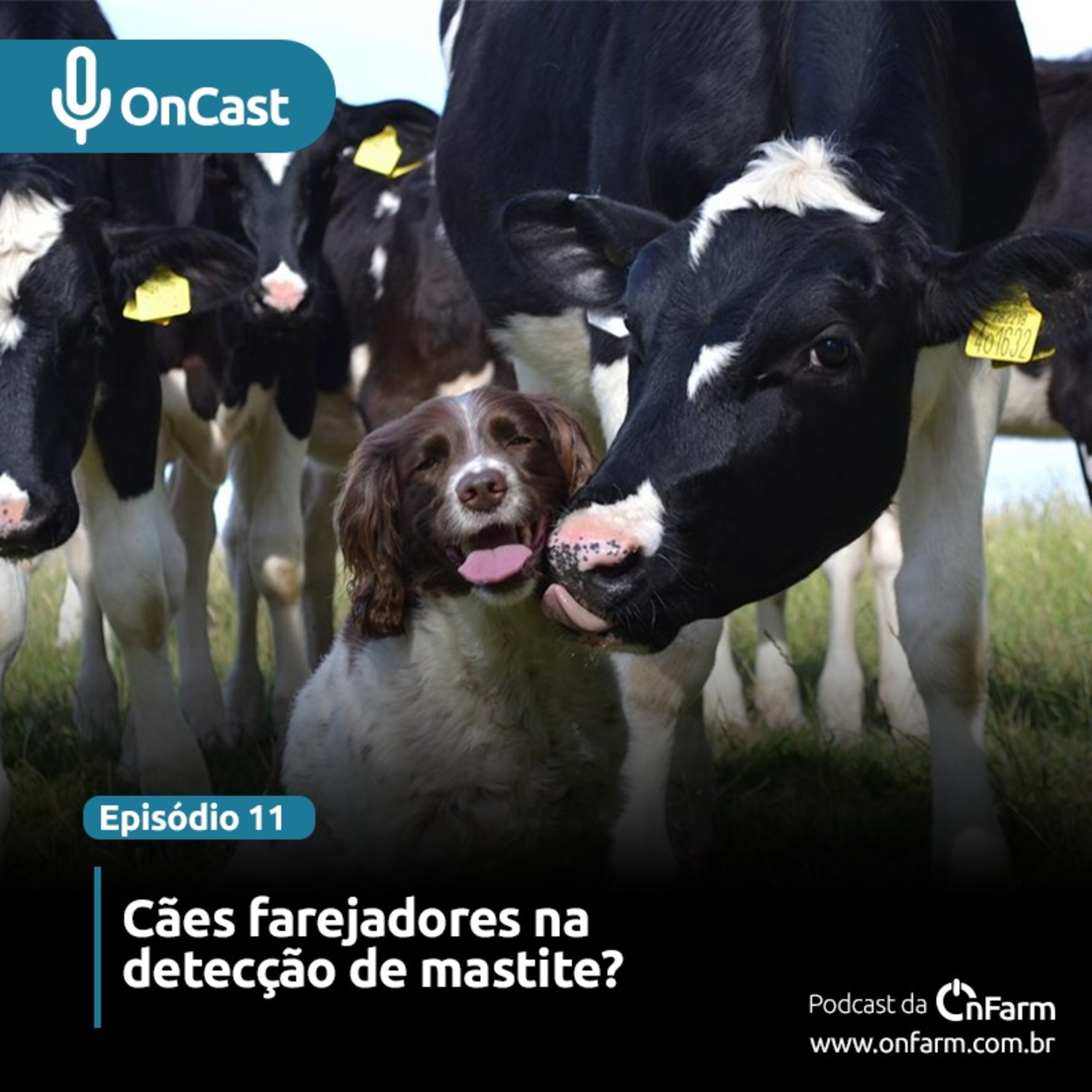 #11 - Cães farejadores na detecção de mastite? episode artwork
