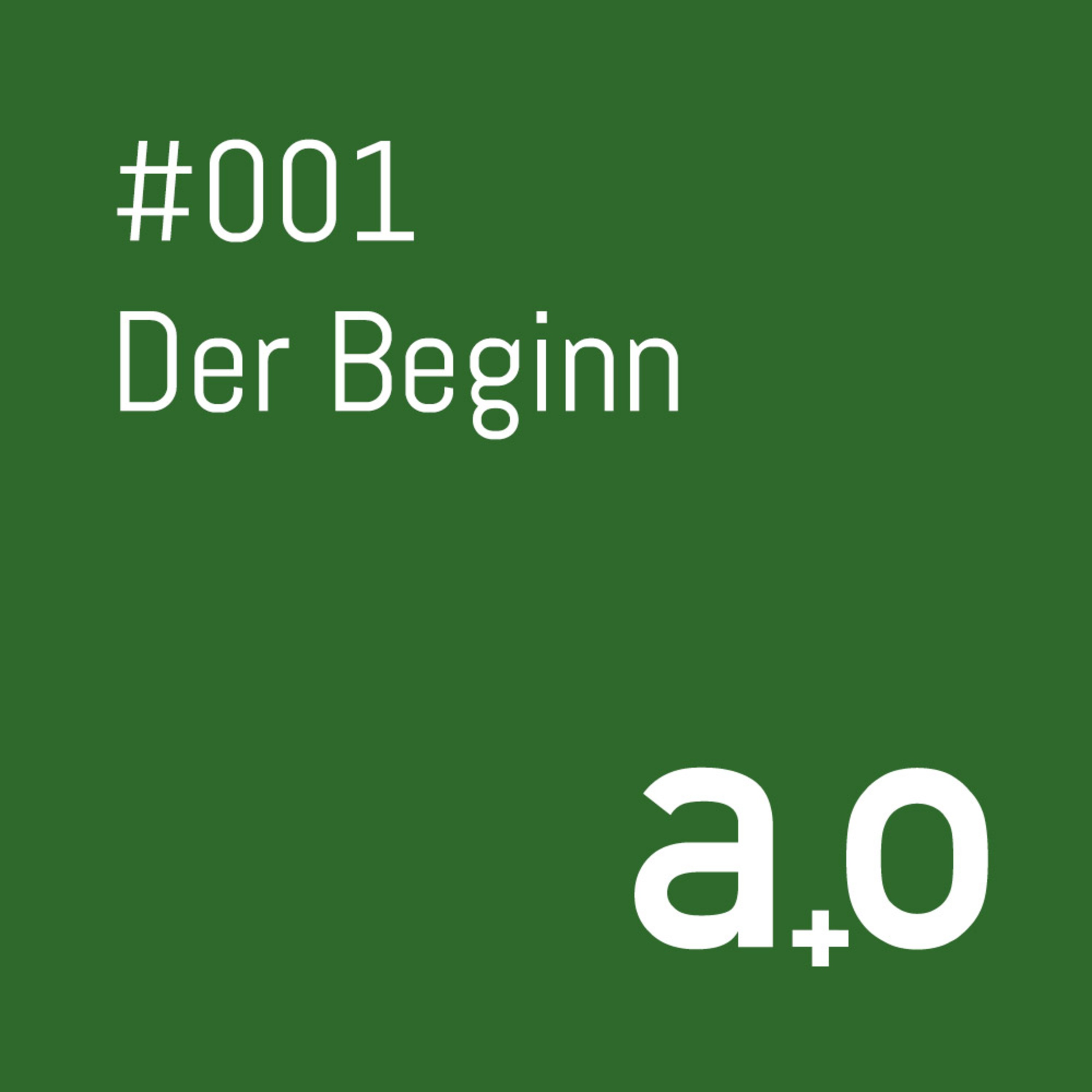 #001 - Der Beginn