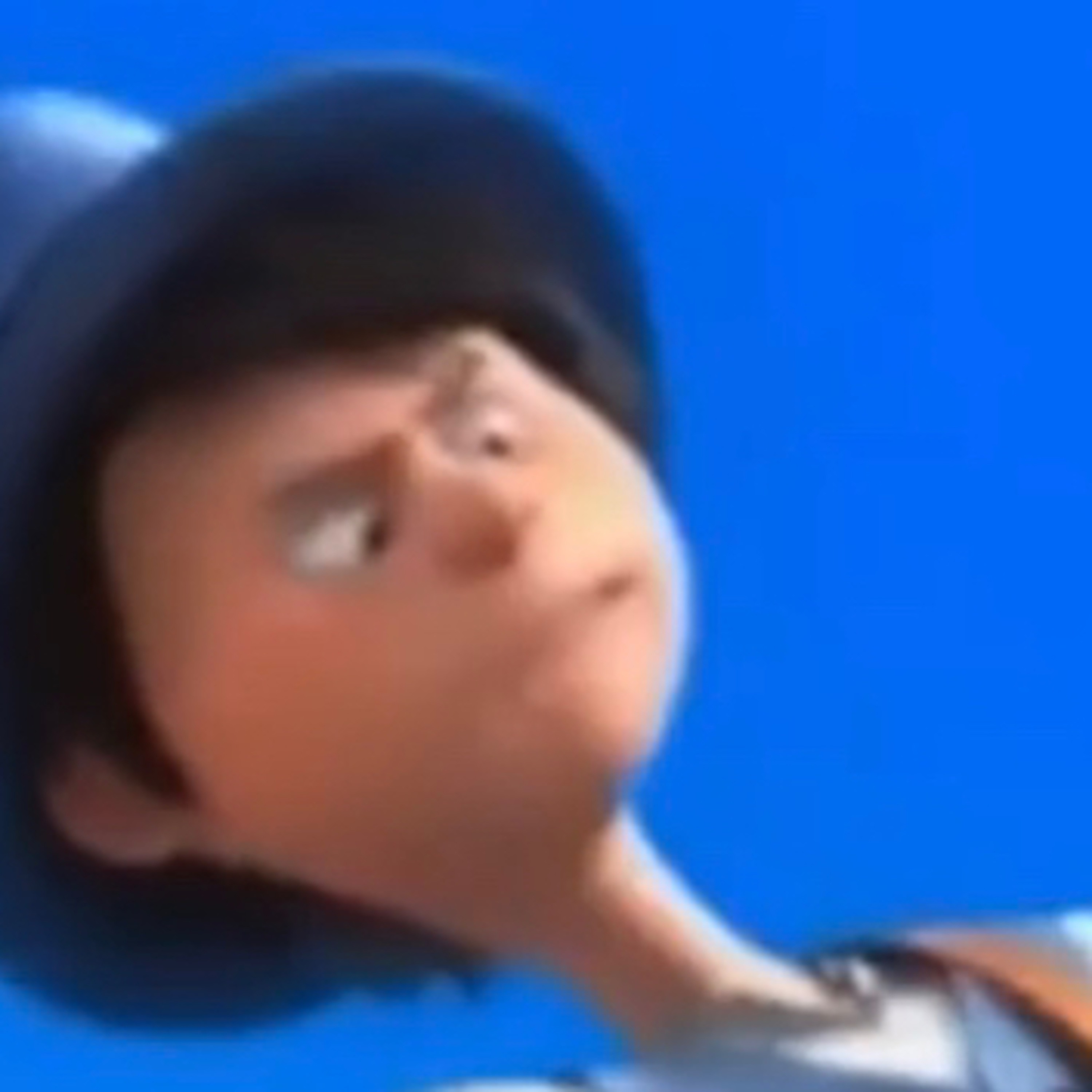 The lorax