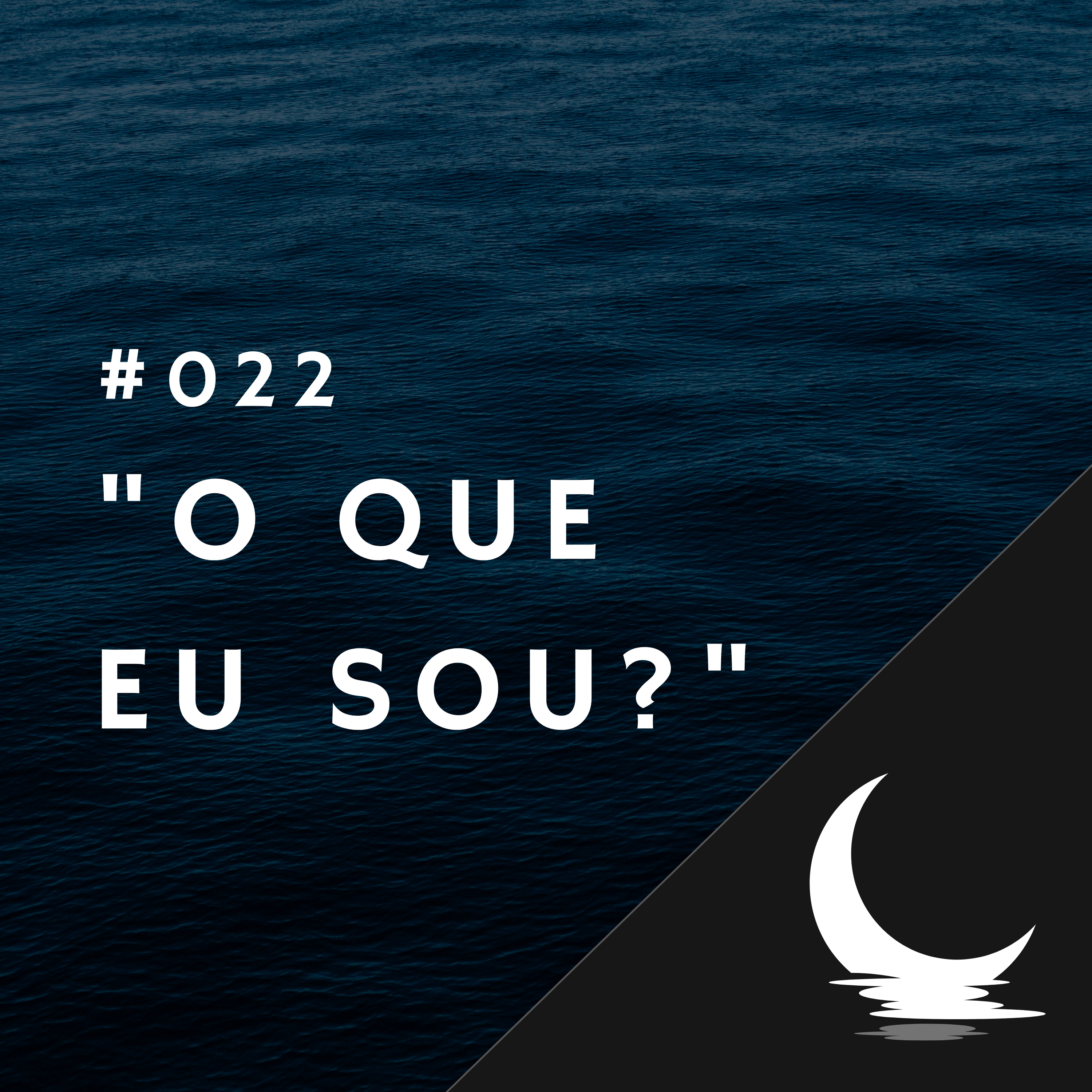 Diário de Bordo (por Júlio Augusto)