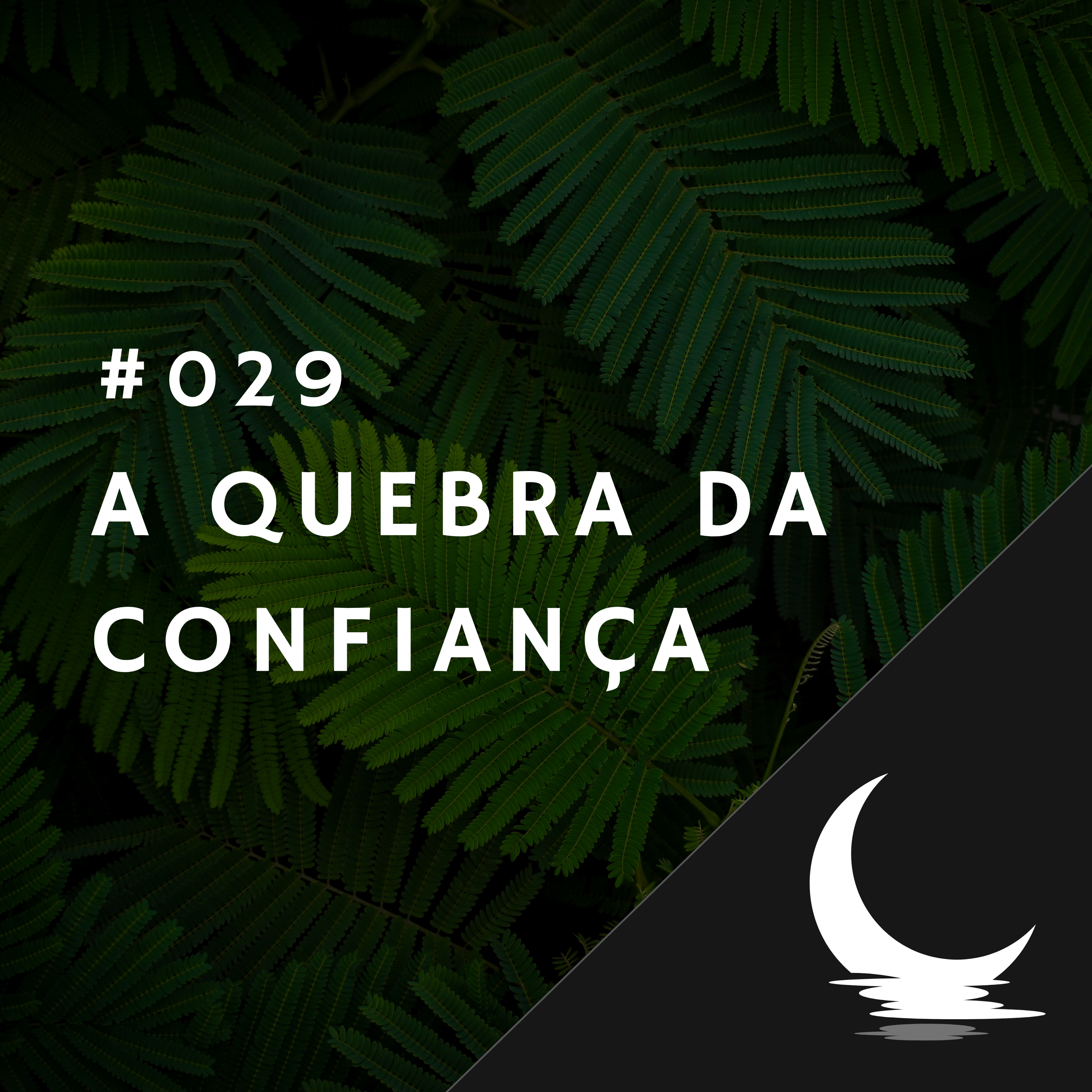 Diário de Bordo (por Júlio Augusto)