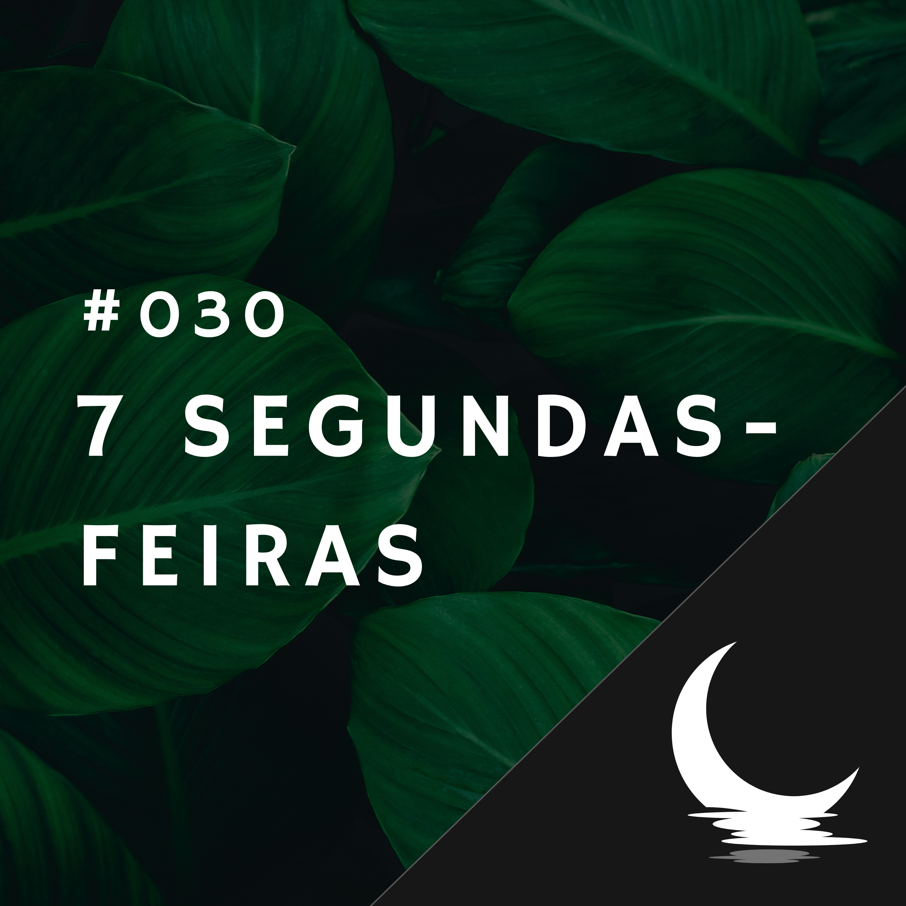 Diário de Bordo (por Júlio Augusto)