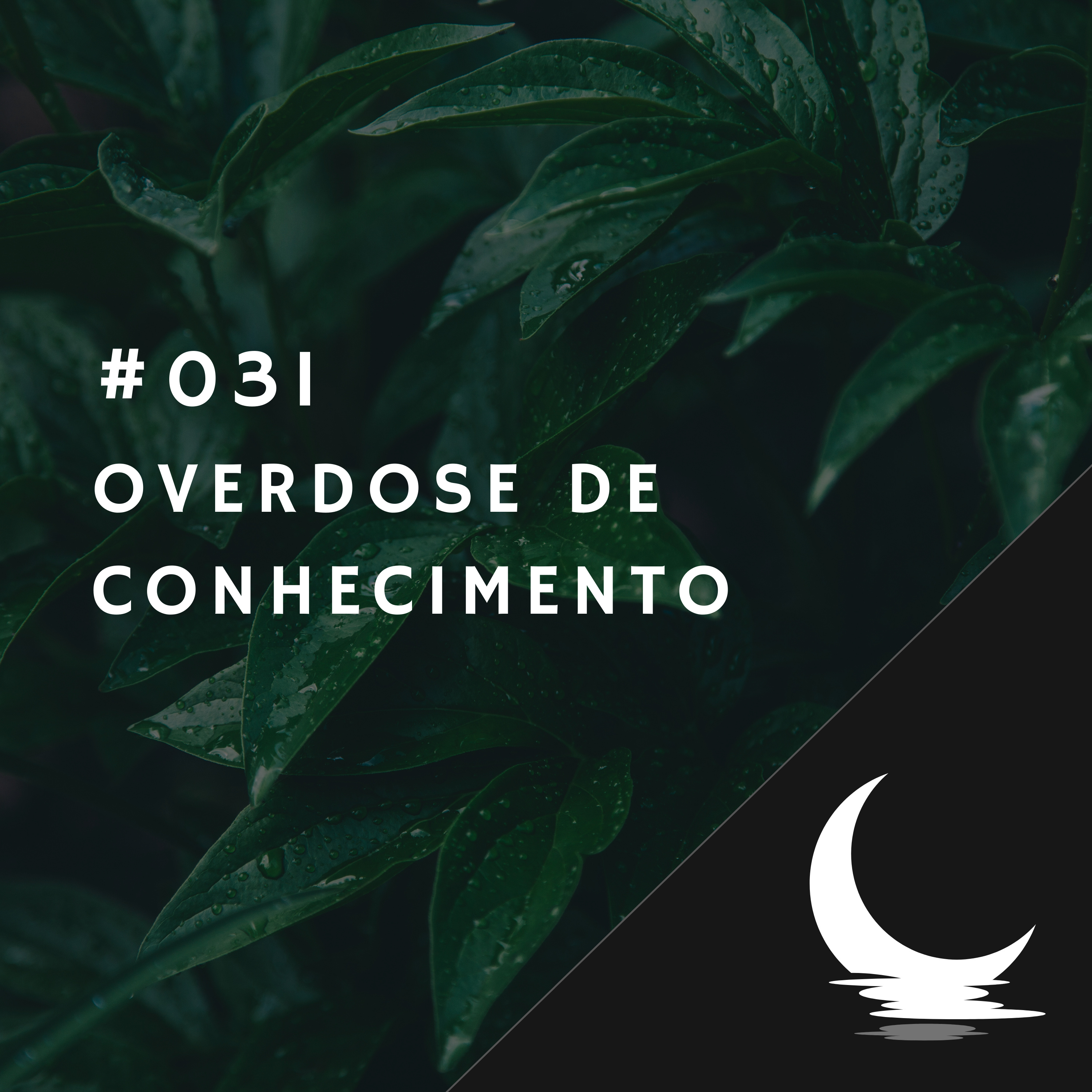 Diário de Bordo (por Júlio Augusto)