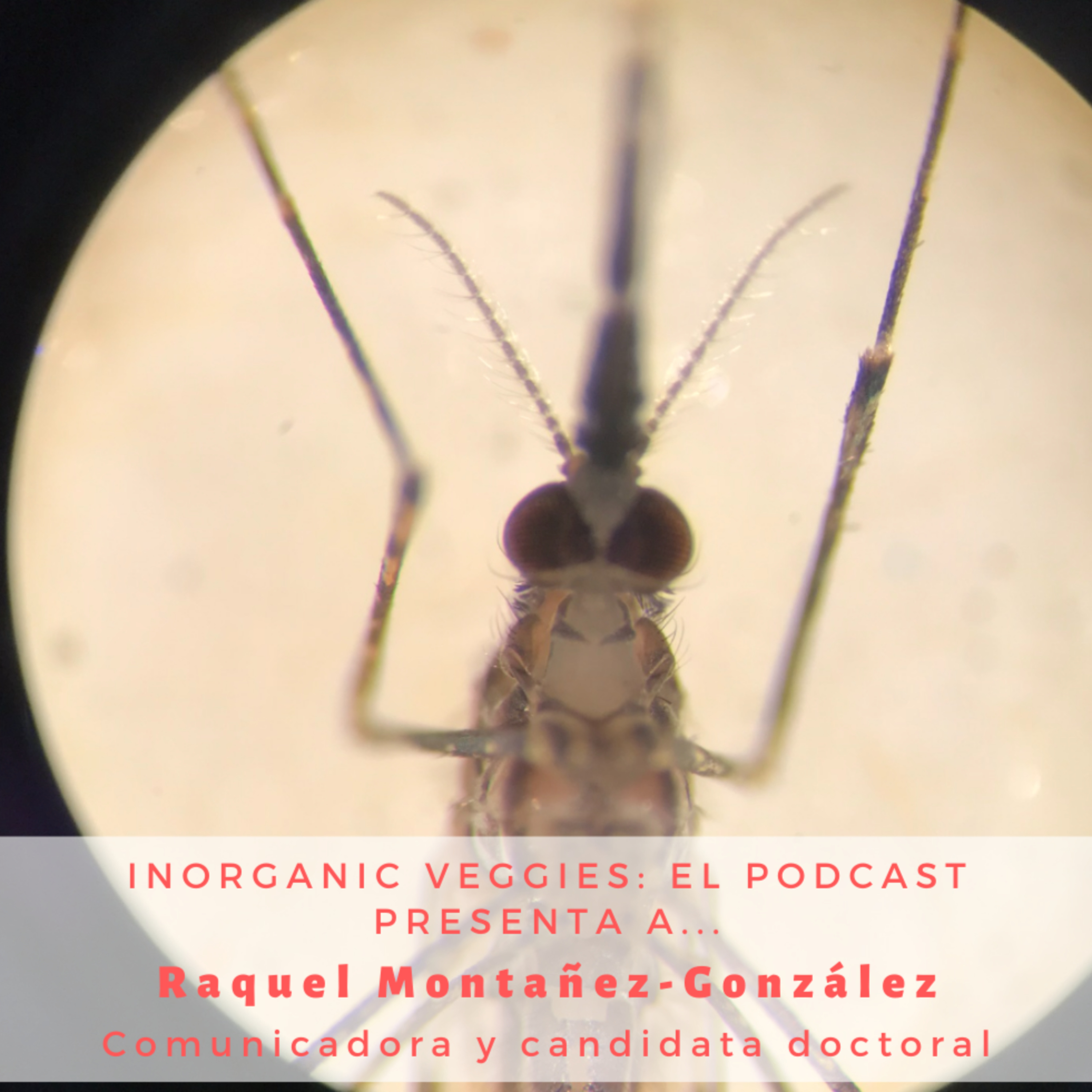 Inorganic Veggies: The Podcast